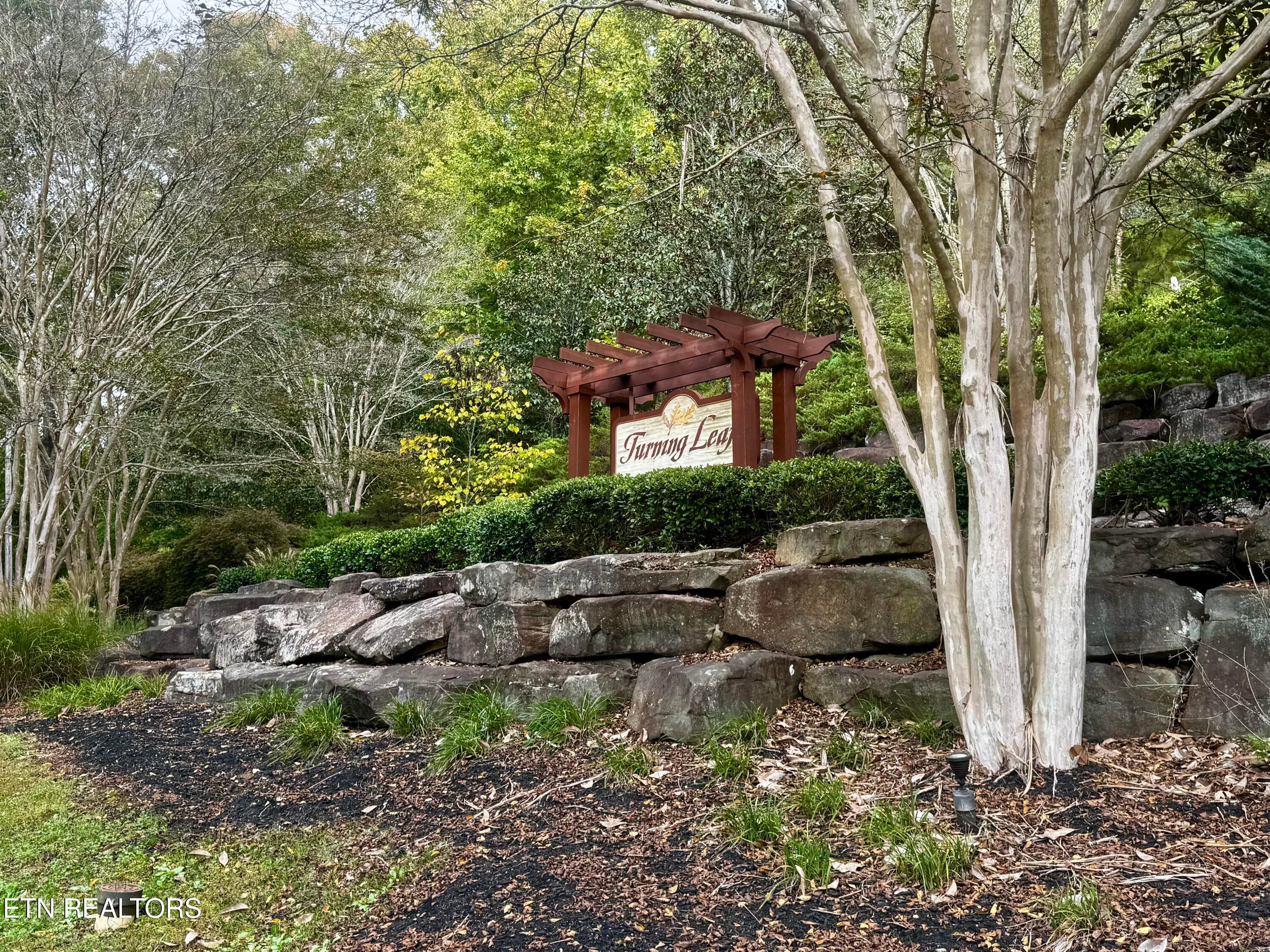 IMG_9638 - 2151 Mystic Ridge Rd, Knoxville, TN 37922