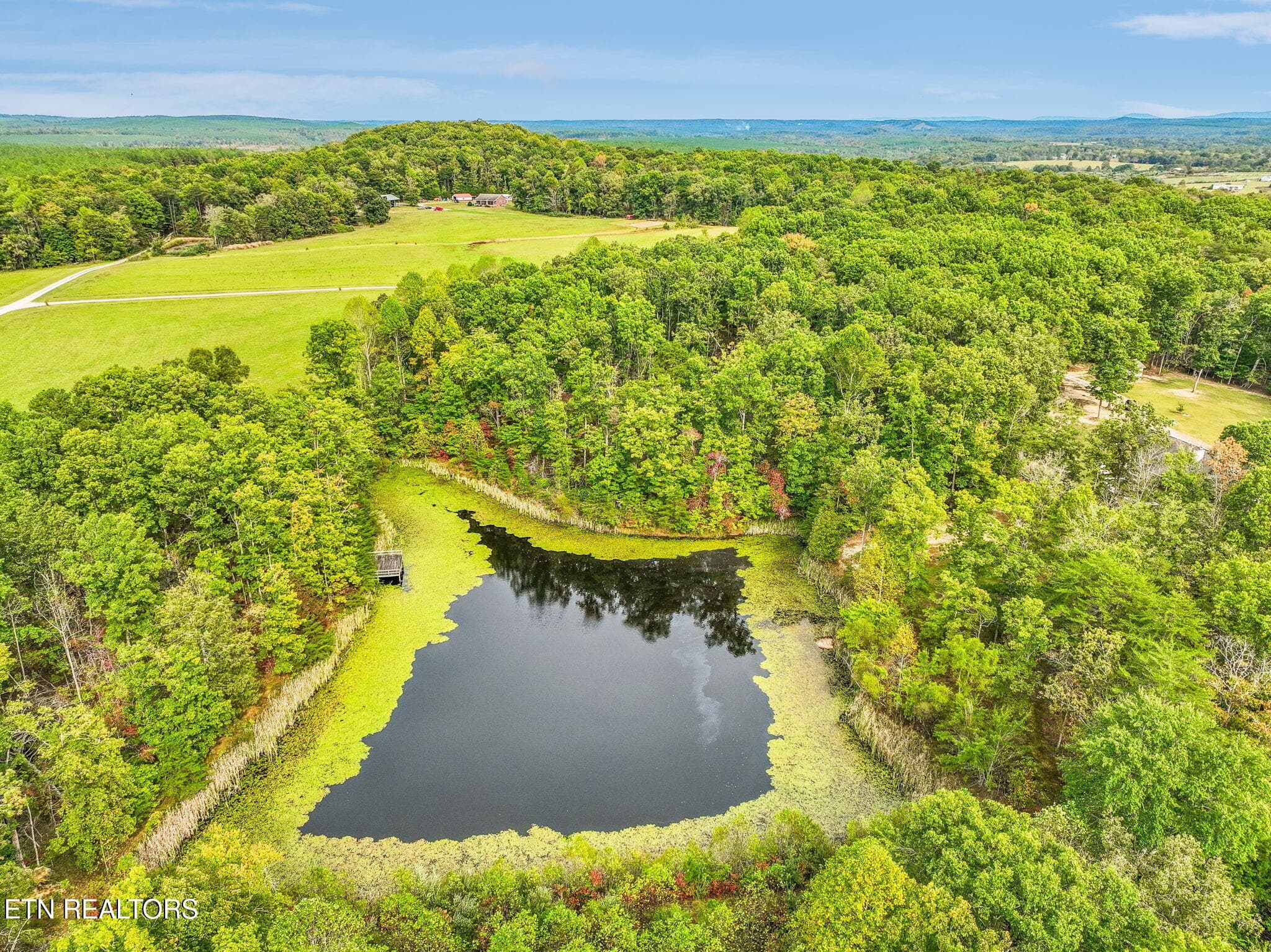 Pond - 5075 Eastland Rd, Sparta, TN 38583, Sparta