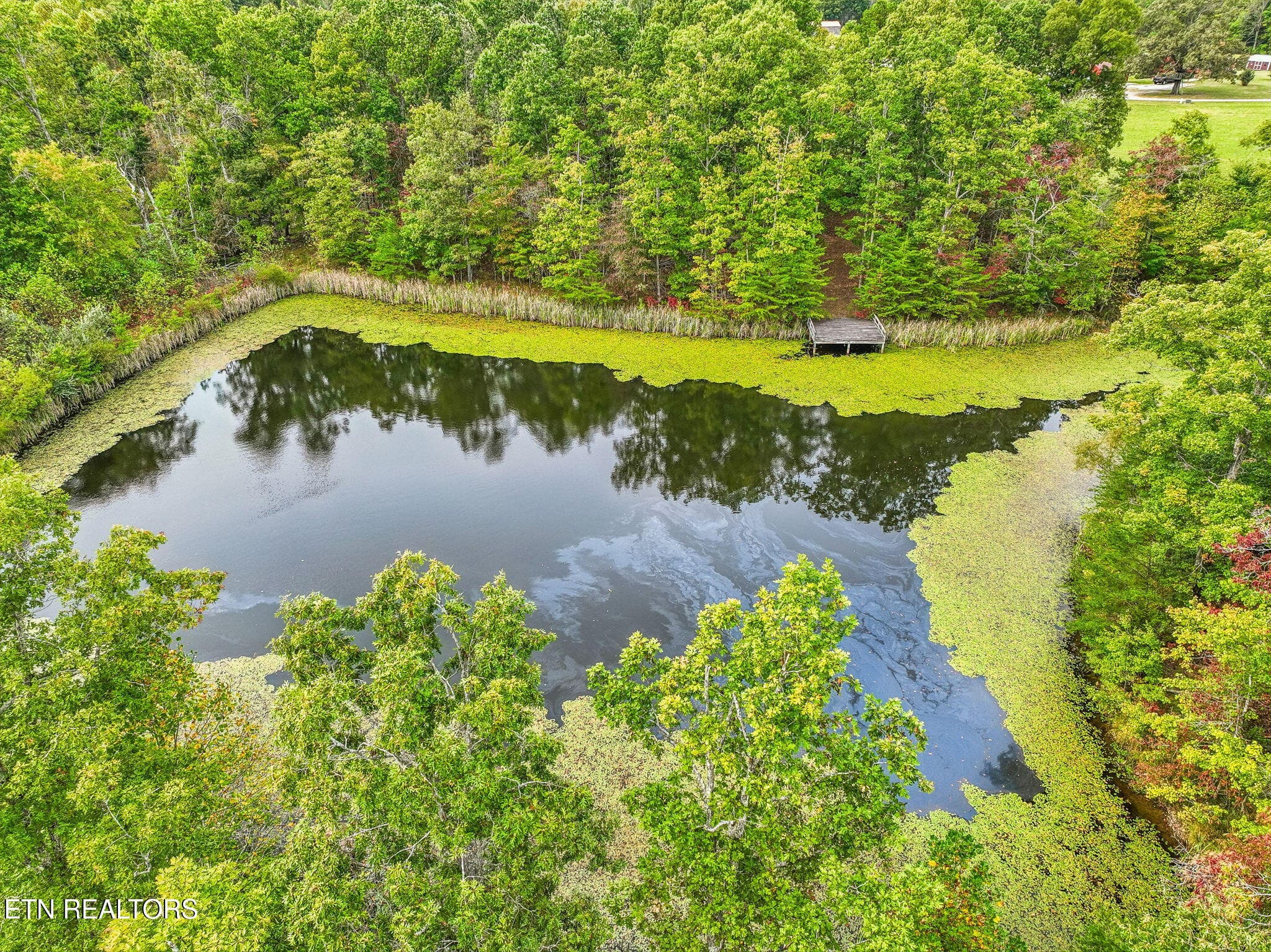 Pond - 5075 Eastland Rd, Sparta, TN 38583, Sparta
