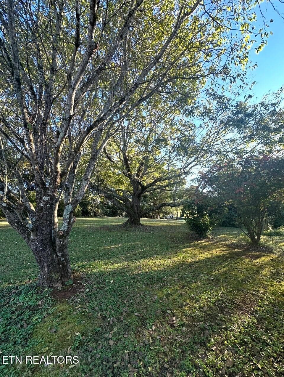 IMG_2312 - 1370 Russell Lane, Lenoir City, TN 37772, Lenoir City