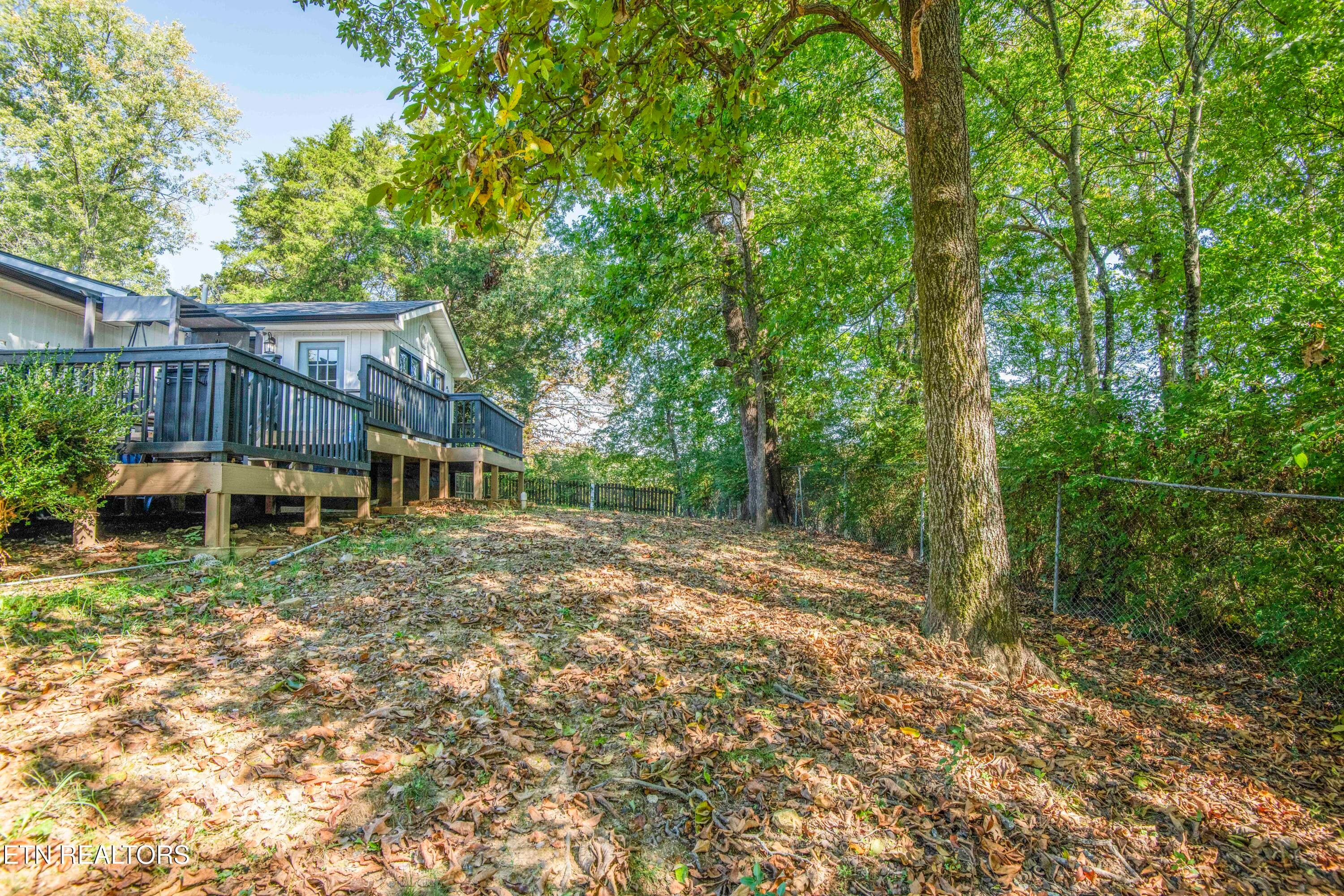 yard 6_1 - 1612 NW Helmbolt Rd, Knoxville, TN 37909