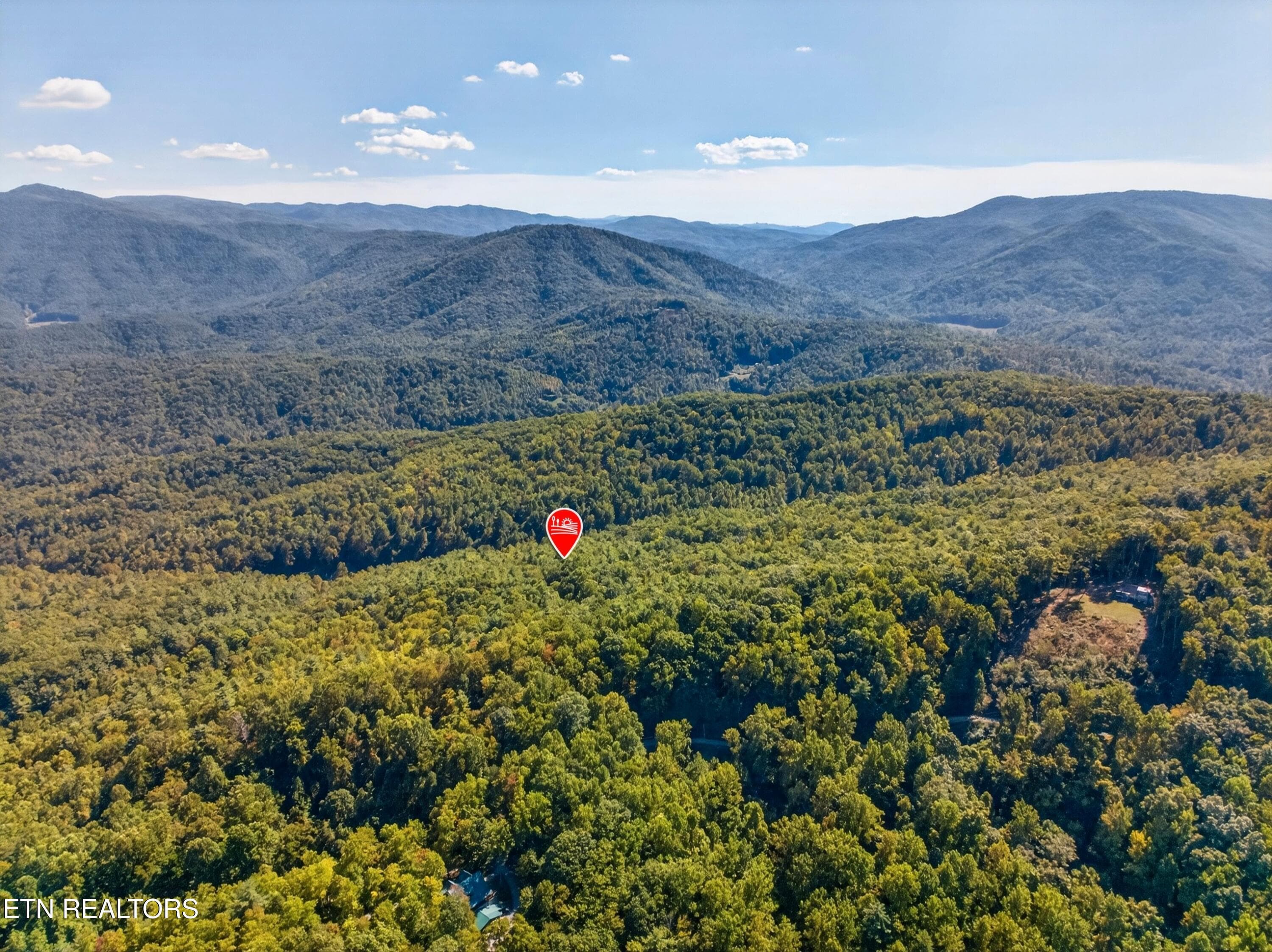 004-ReeceHollowRoad-TN-37727-SMALL - 000 Reece Hollow Rd, Del Rio, TN 37727