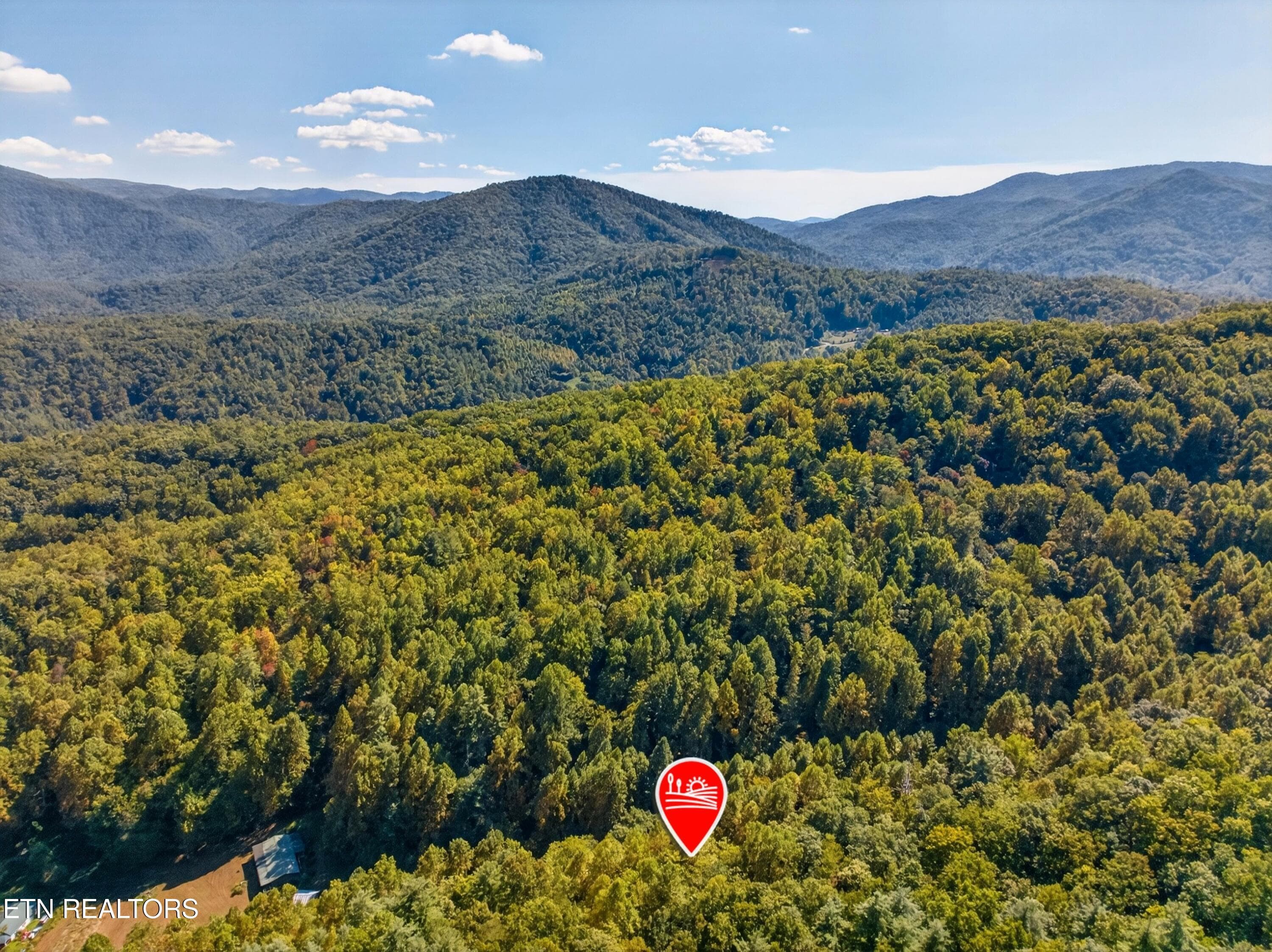 005-ReeceHollowRoad-TN-37727-SMALL - 000 Reece Hollow Rd, Del Rio, TN 37727