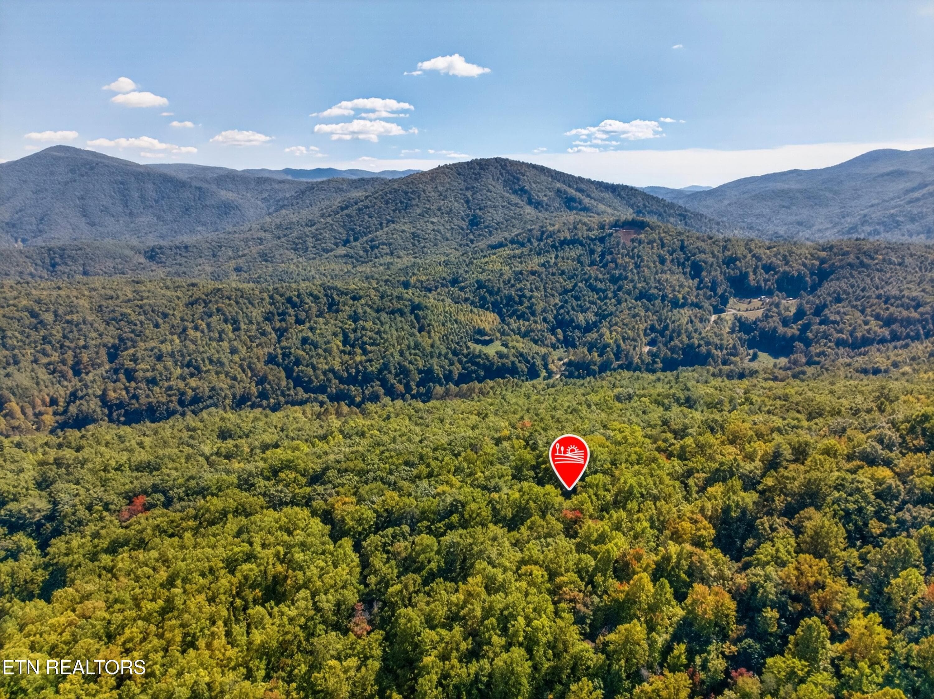 006-ReeceHollowRoad-TN-37727-SMALL - 000 Reece Hollow Rd, Del Rio, TN 37727