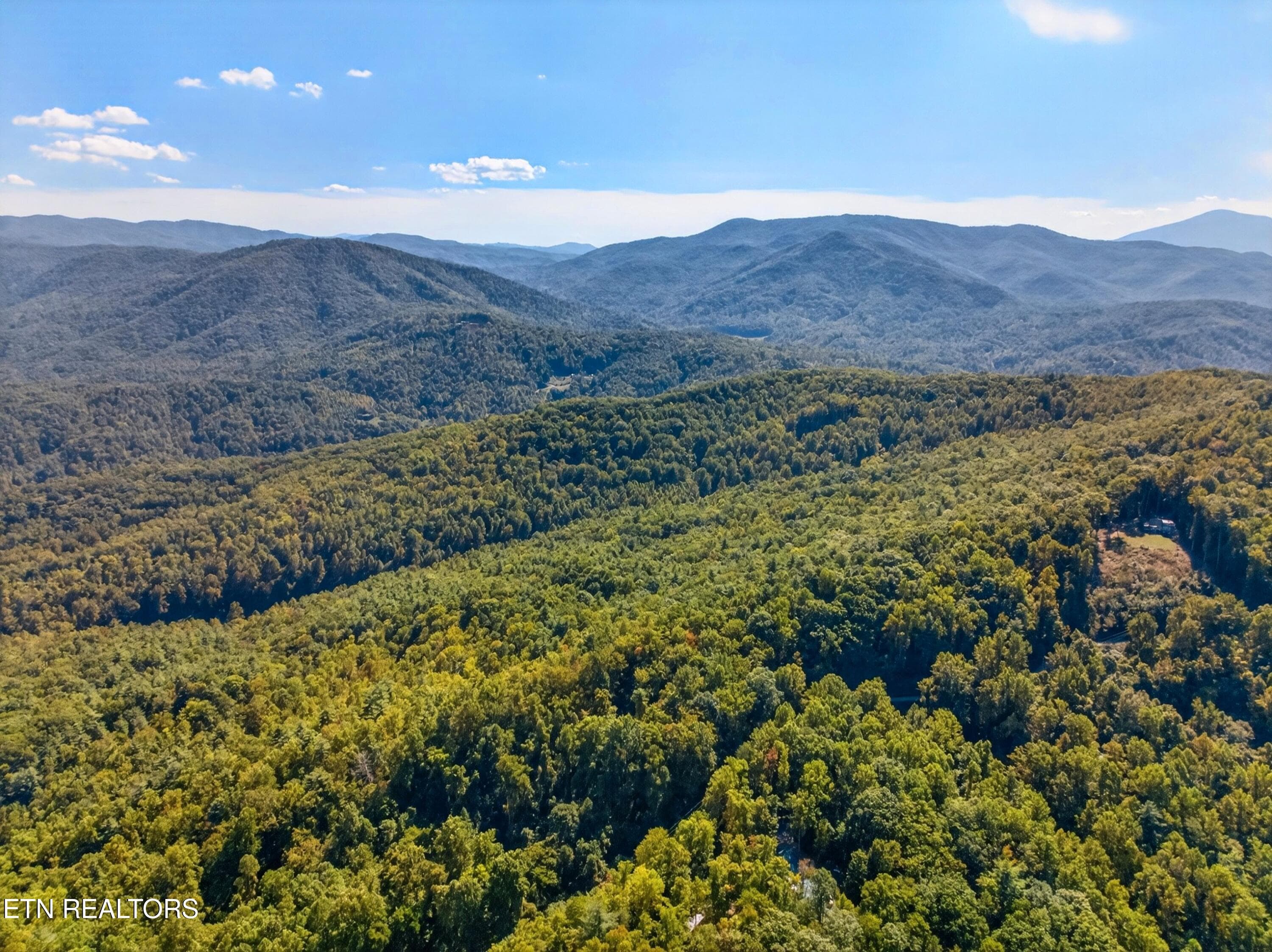 007-ReeceHollowRoad-TN-37727-SMALL - 000 Reece Hollow Rd, Del Rio, TN 37727