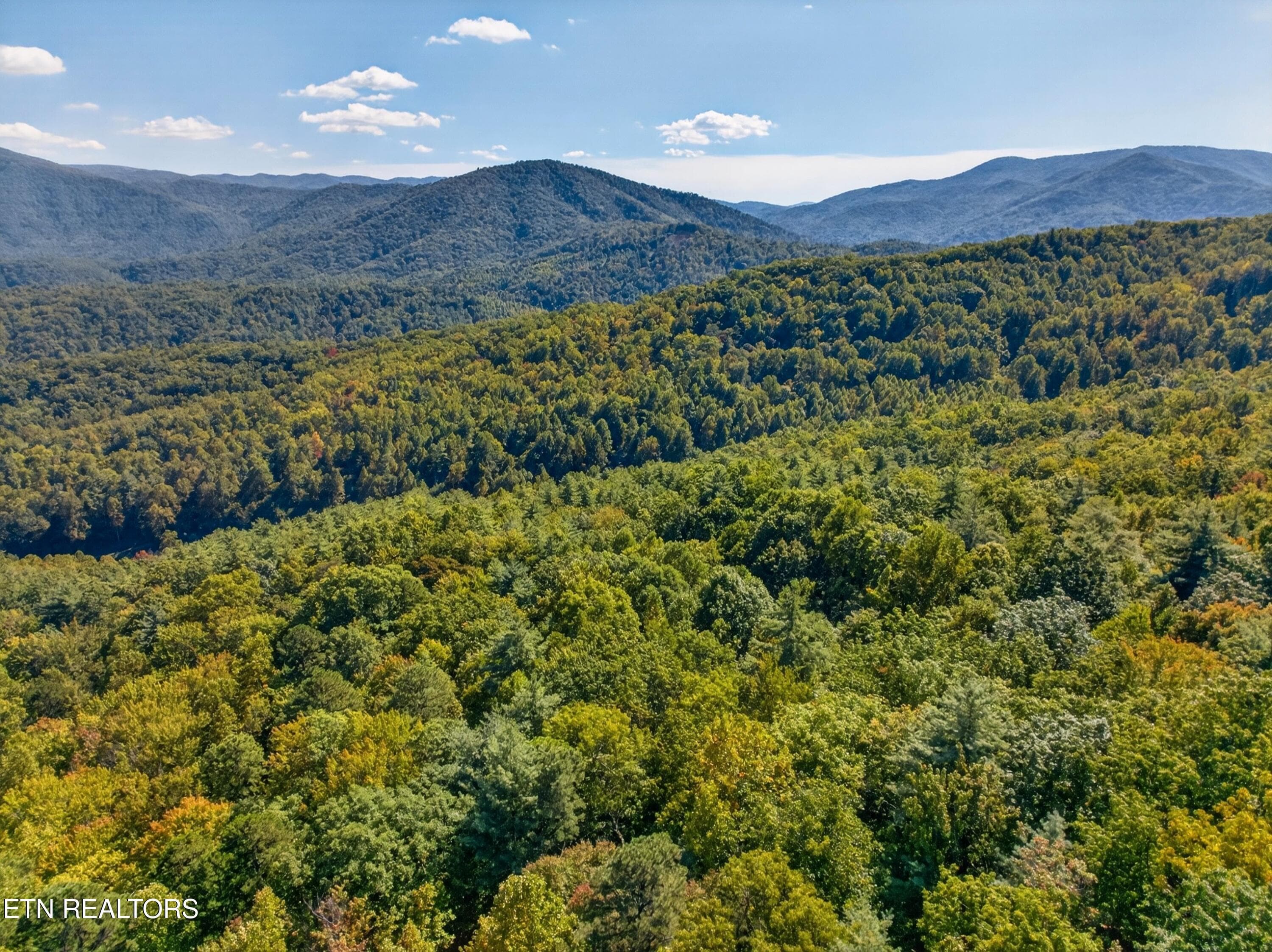 008-ReeceHollowRoad-TN-37727-SMALL - 000 Reece Hollow Rd, Del Rio, TN 37727