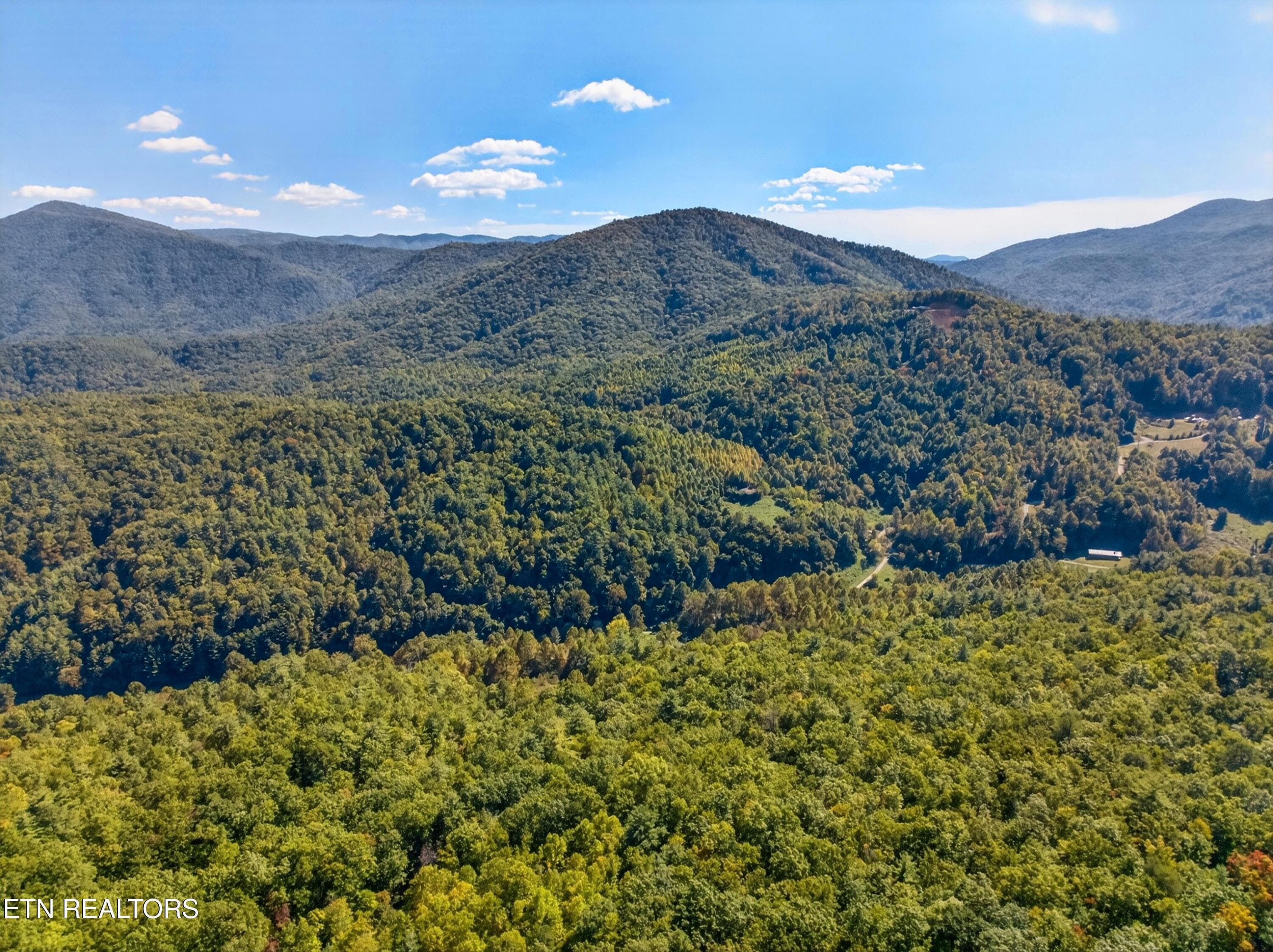 009-ReeceHollowRoad-TN-37727-SMALL - 000 Reece Hollow Rd, Del Rio, TN 37727