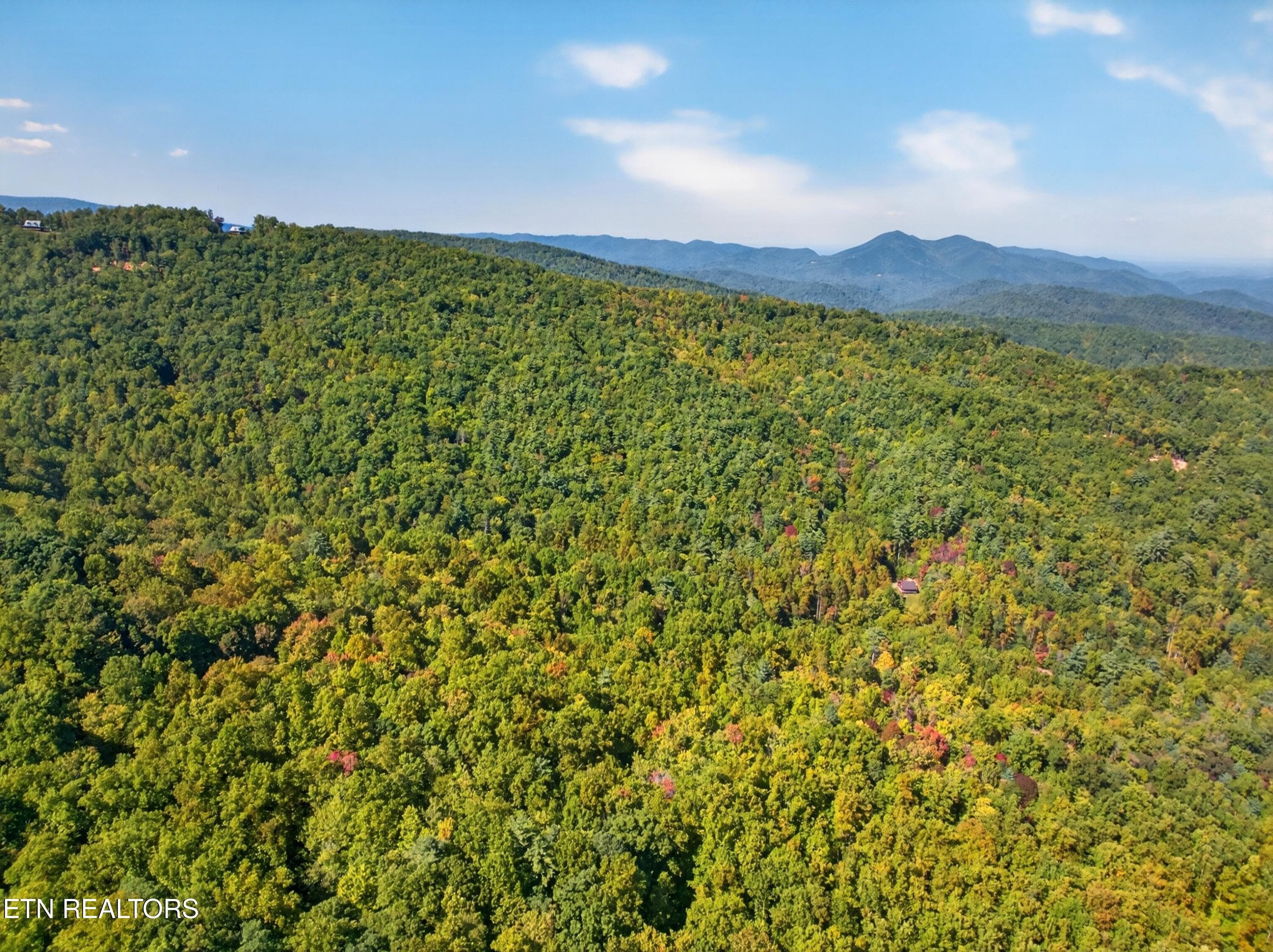 010-ReeceHollowRoad-TN-37727-SMALL - 000 Reece Hollow Rd, Del Rio, TN 37727