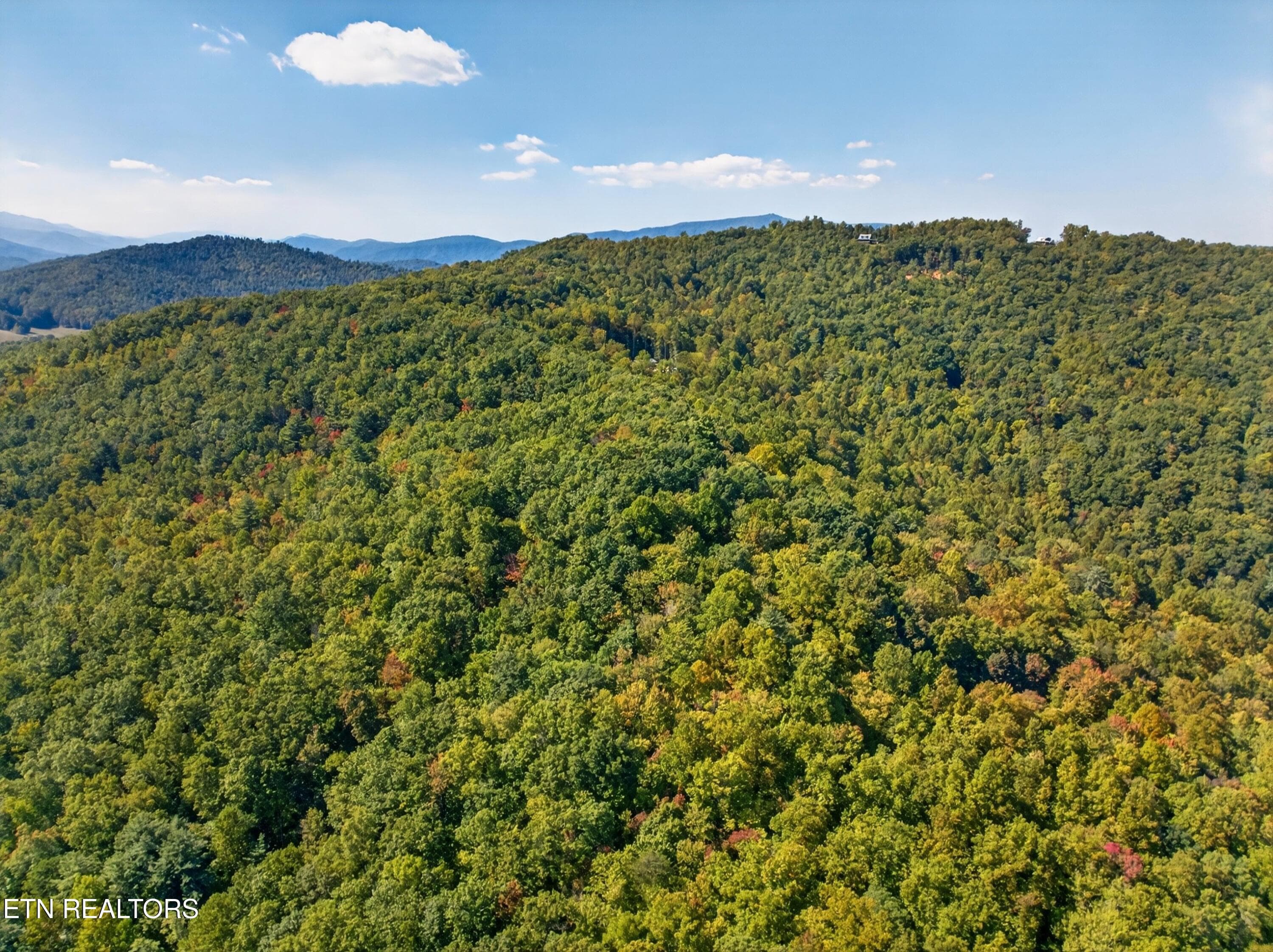 011-ReeceHollowRoad-TN-37727-SMALL - 000 Reece Hollow Rd, Del Rio, TN 37727