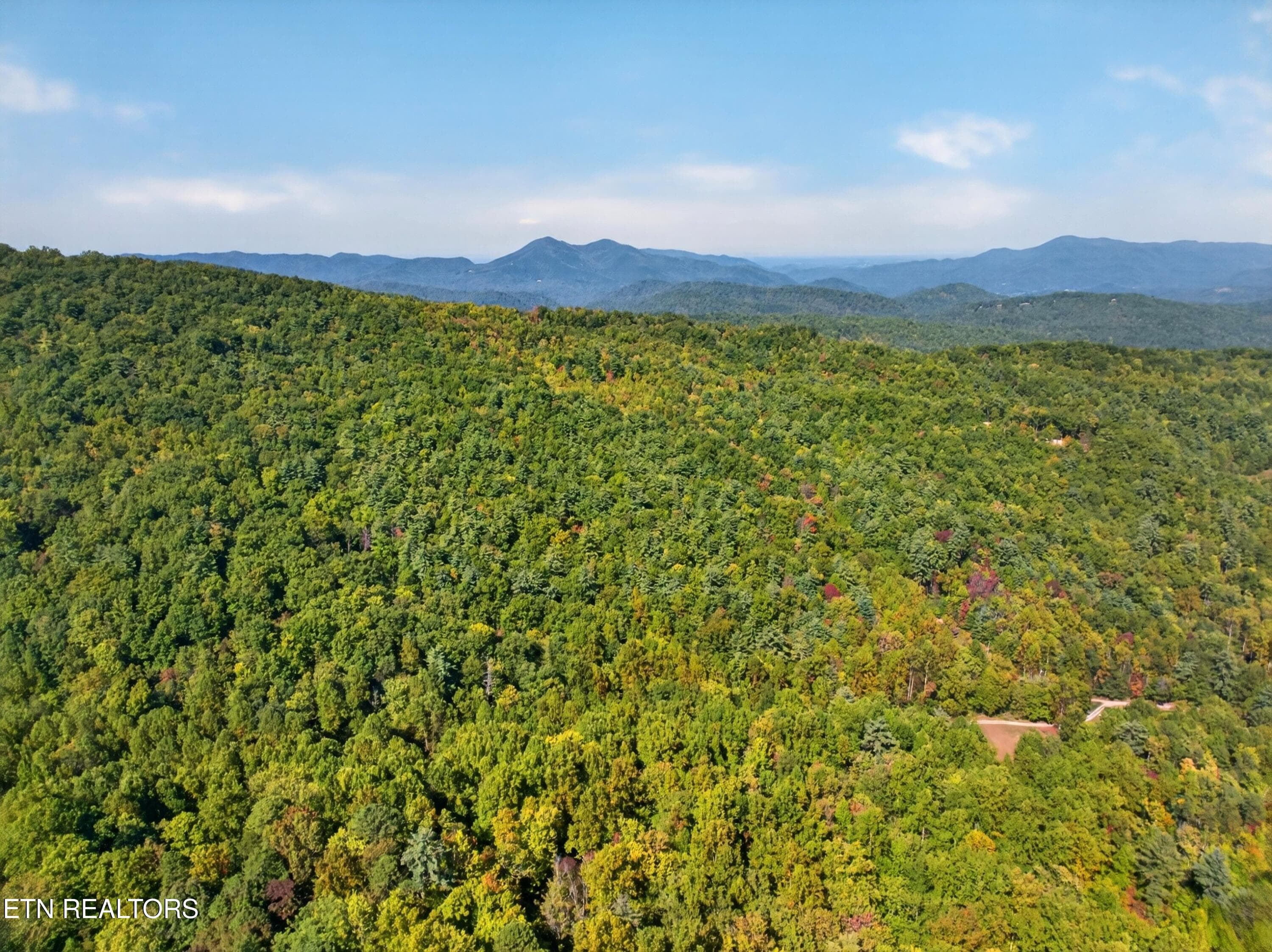 012-ReeceHollowRoad-TN-37727-SMALL - 000 Reece Hollow Rd, Del Rio, TN 37727