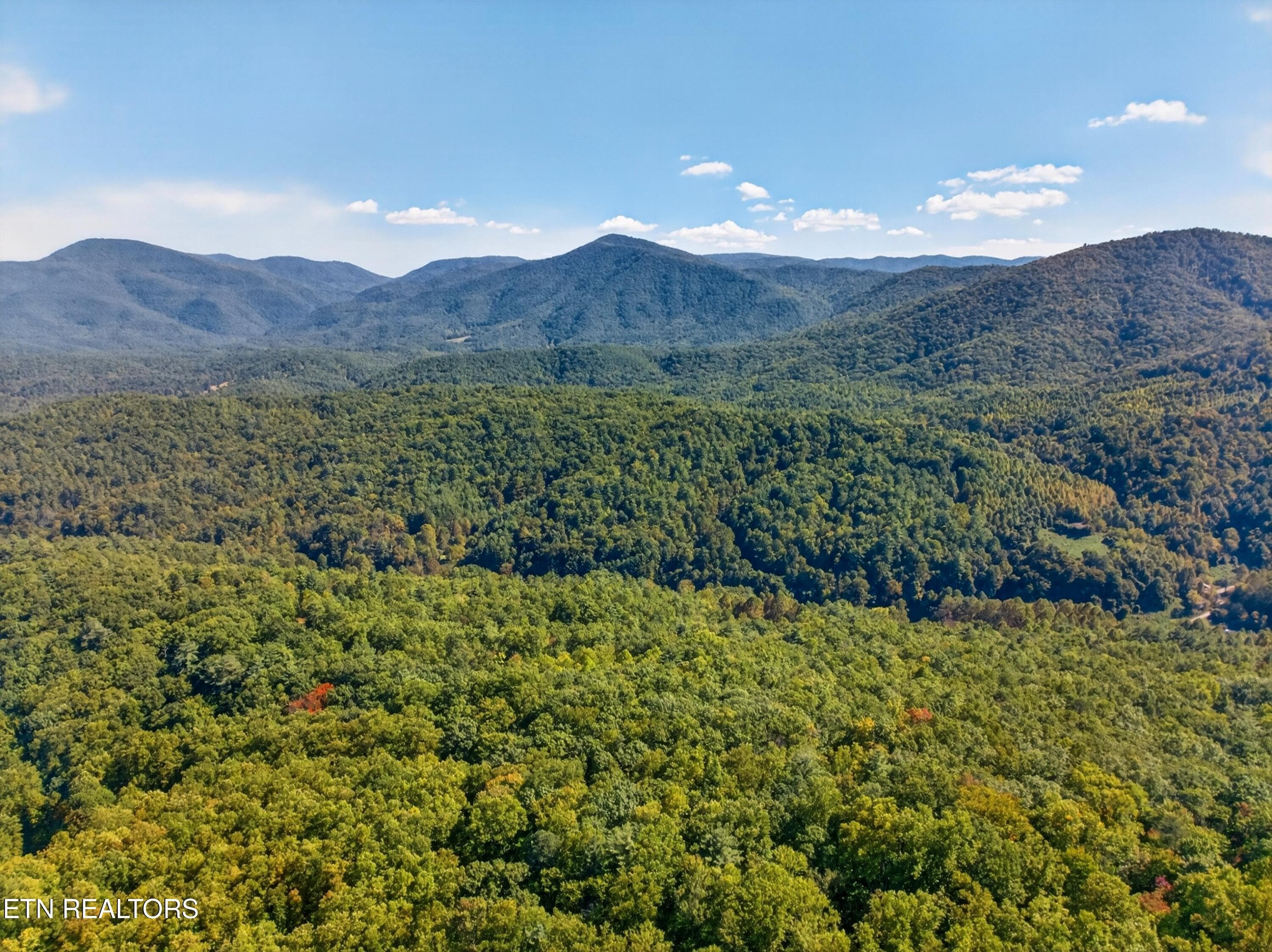013-ReeceHollowRoad-TN-37727-SMALL - 000 Reece Hollow Rd, Del Rio, TN 37727