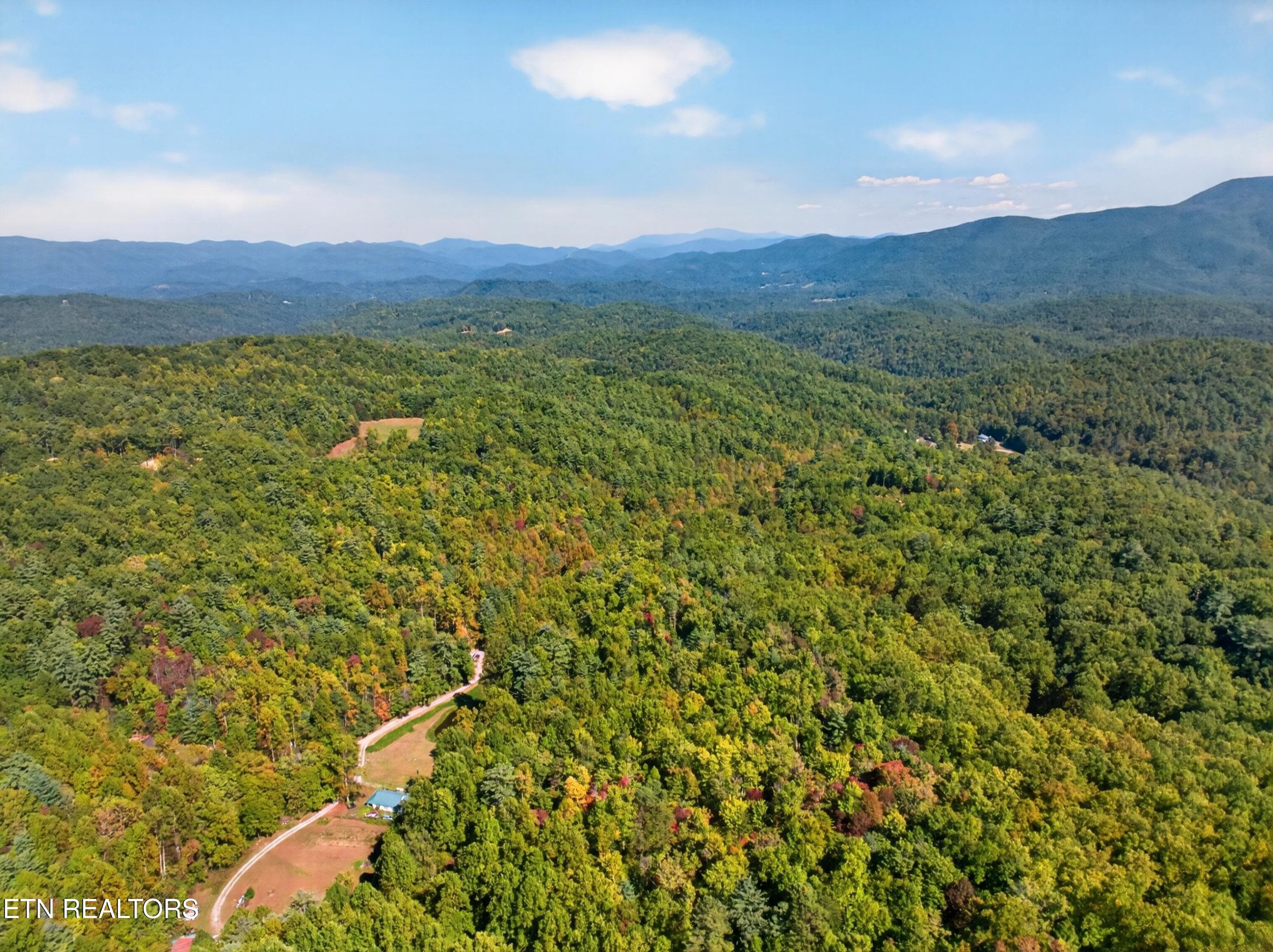014-ReeceHollowRoad-TN-37727-SMALL - 000 Reece Hollow Rd, Del Rio, TN 37727