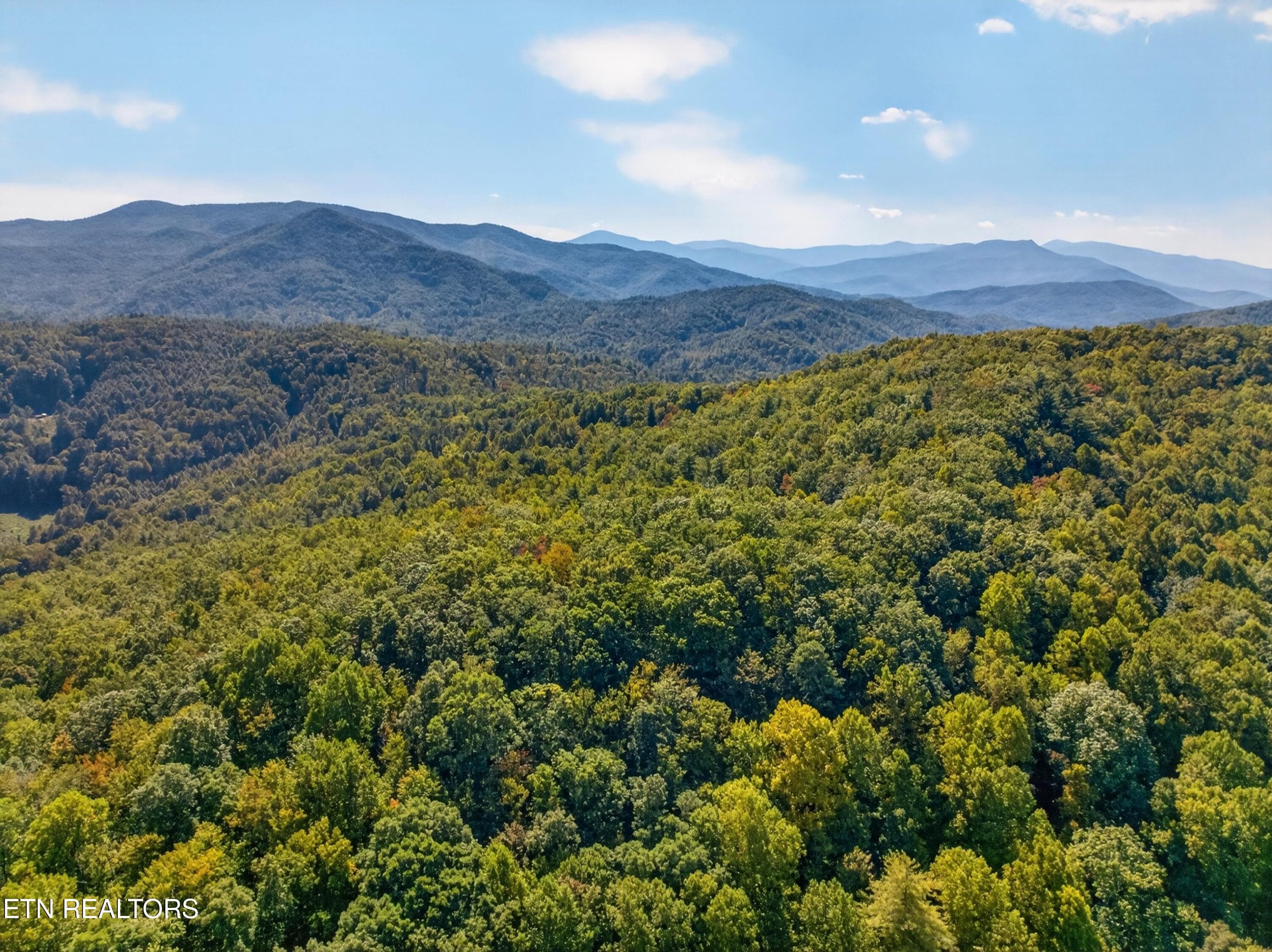 015-ReeceHollowRoad-TN-37727-SMALL - 000 Reece Hollow Rd, Del Rio, TN 37727