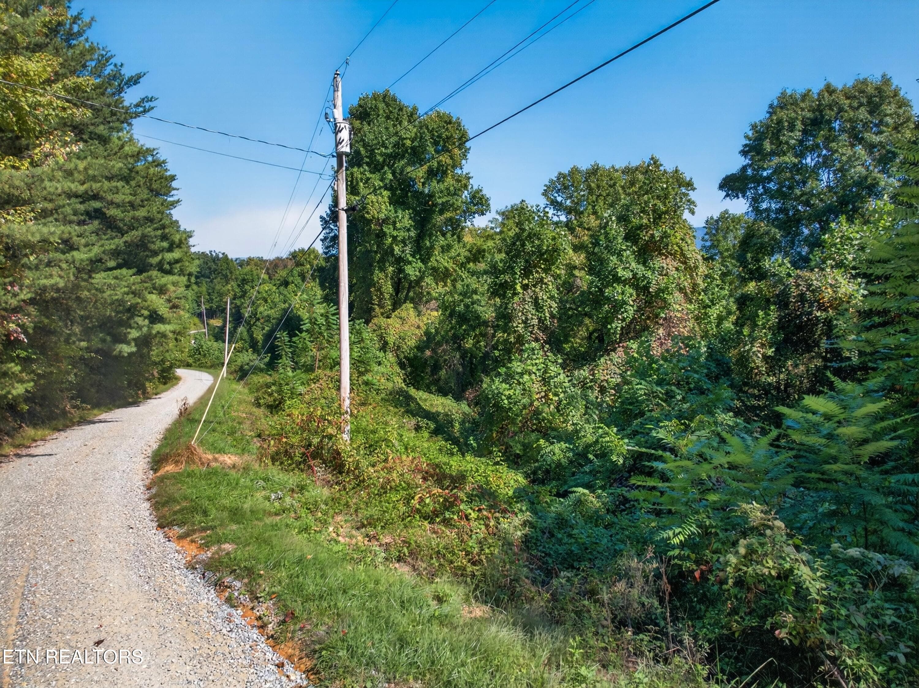 017-ReeceHollowRoad-TN-37727-SMALL - 000 Reece Hollow Rd, Del Rio, TN 37727