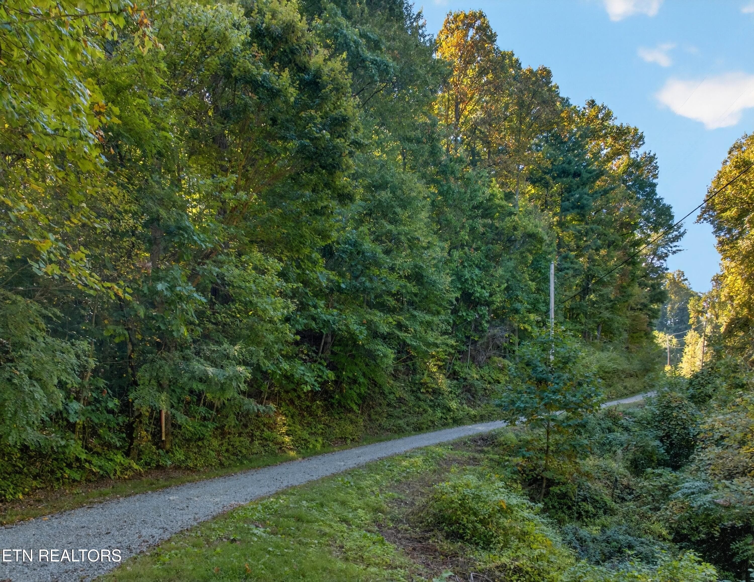 002-ReeceHollowRoad-TN-37727-SMALL - 000 Reece Hollow Rd, Del Rio, TN 37727