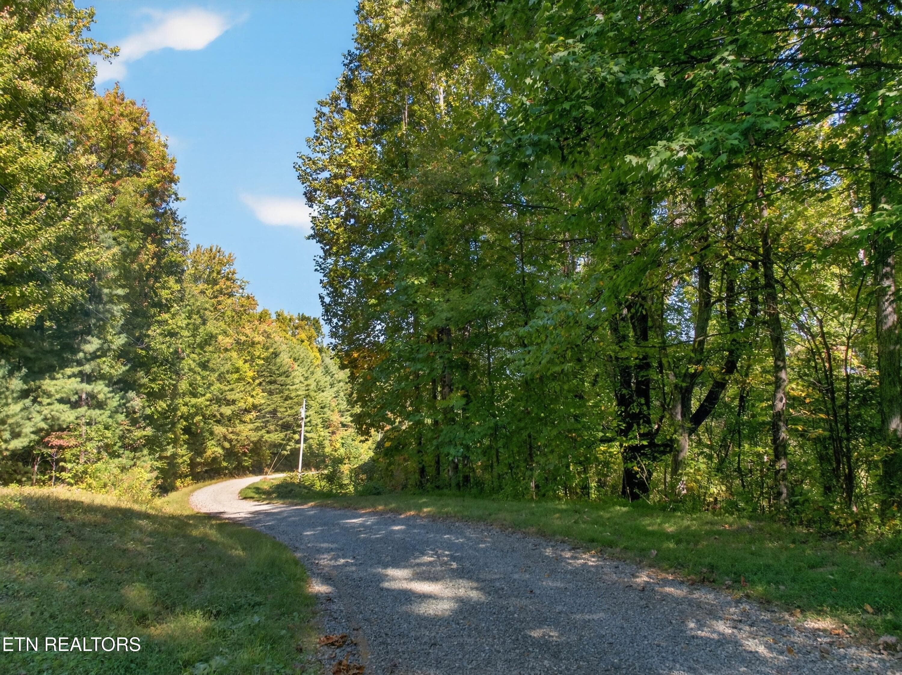 003-ReeceHollowRoad-TN-37727-SMALL - 000 Reece Hollow Rd, Del Rio, TN 37727