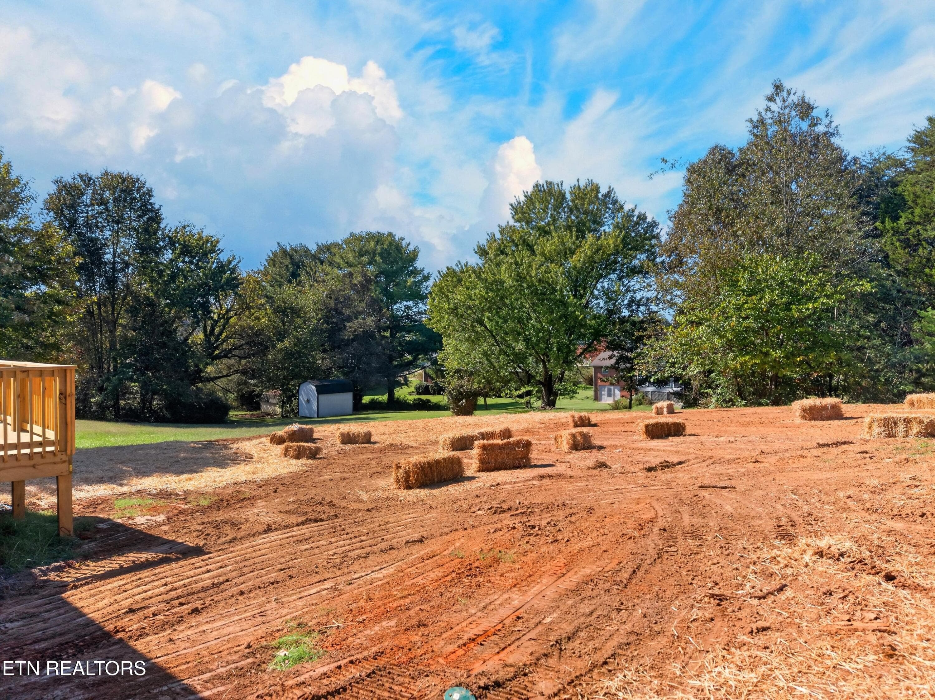 back yard - 3922 Marty Drive, Morristown, TN 37814
