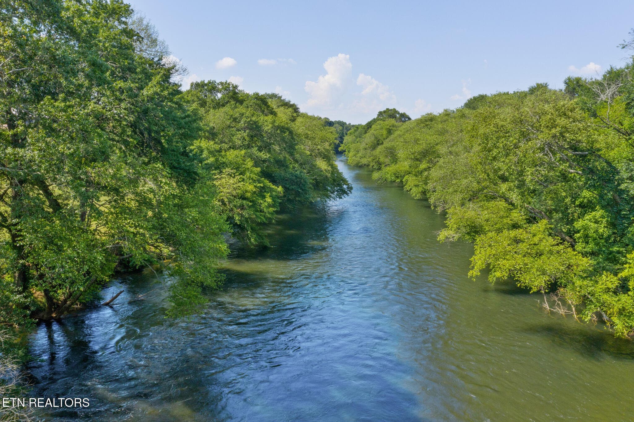 50_beyc6ad2ab569a115 - 1020 Thomas Rd, Benton, TN 37307