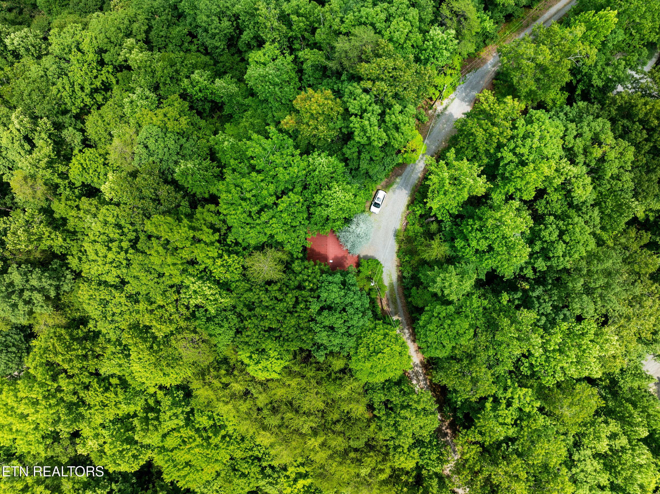3420 no business way-23 - 3420 No Business Way Way, Sevierville, TN 37876, Sevierville