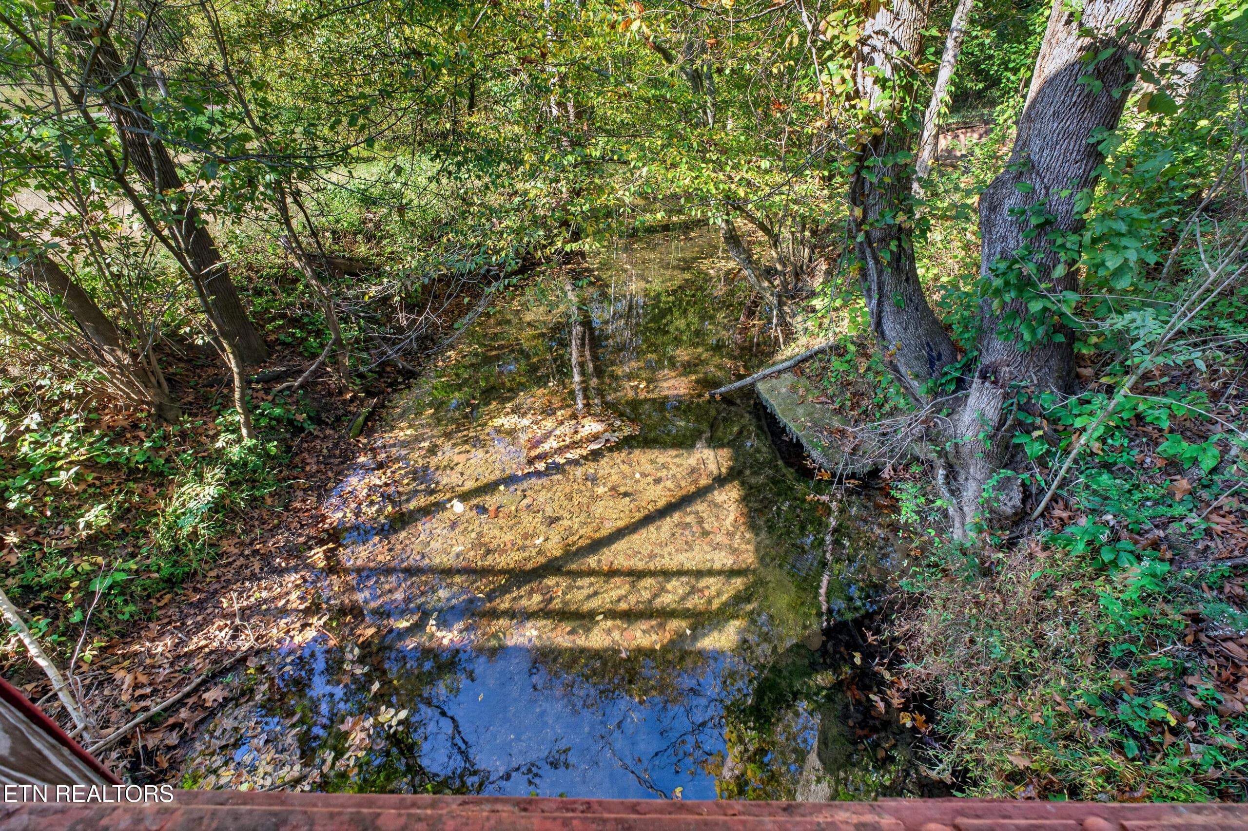 007_DSC05462 - 5697 Rocky Point Rd, Cookeville, TN 38506, Cookeville