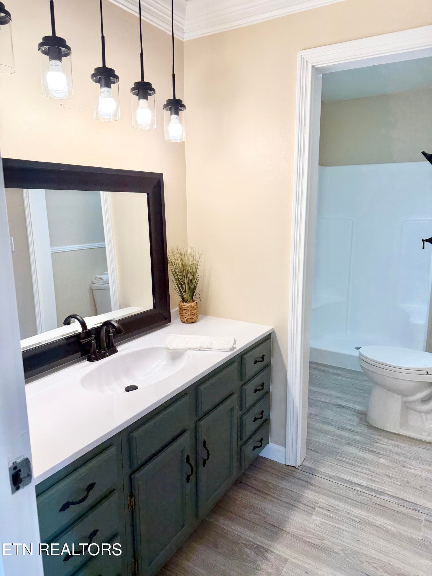 Master bath - 7803 Lucky Lane, Corryton, TN 37721
