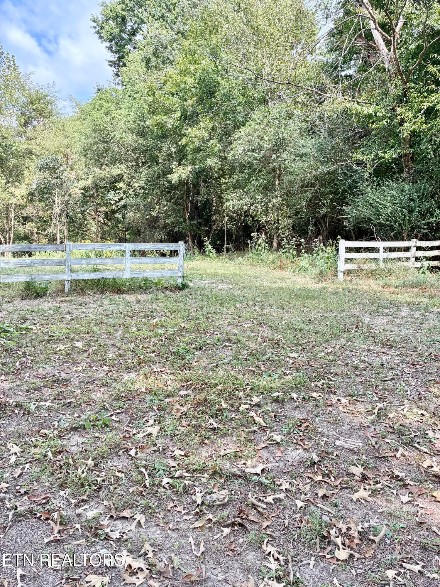 IMG_1576 - 7803 Lucky Lane, Corryton, TN 37721