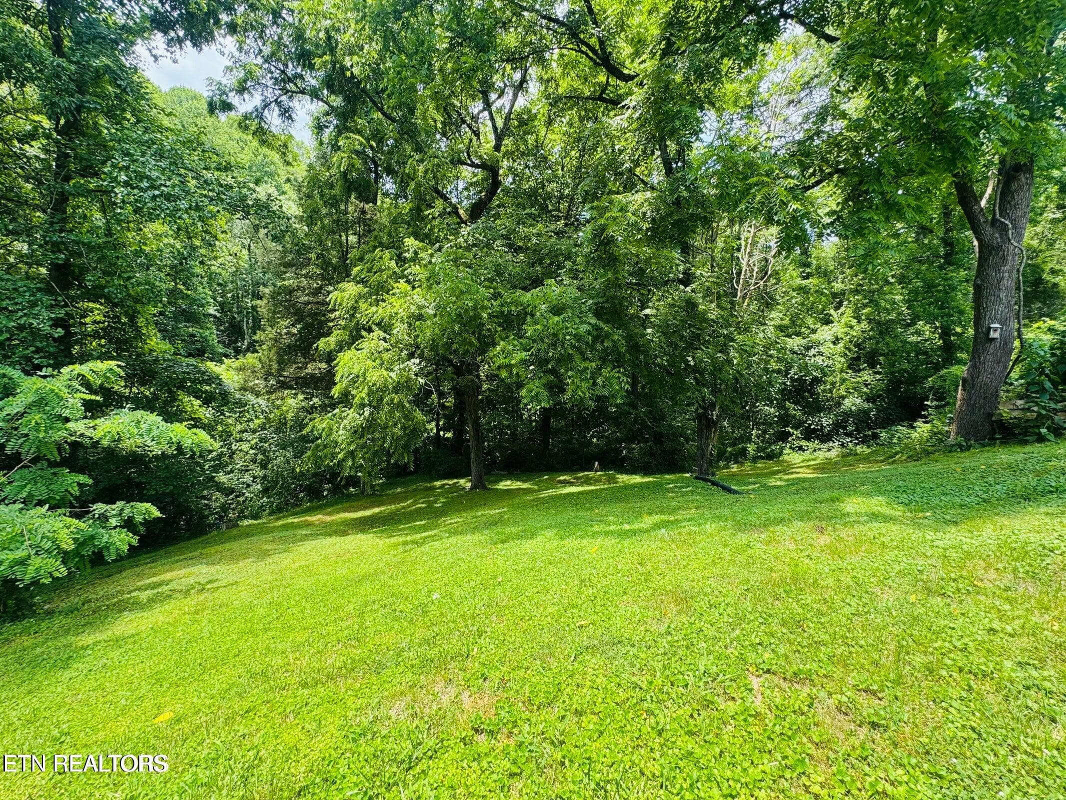 IMG_1063 - 681 Island Cove Rd, Rocky Top, TN 37769, Rocky Top