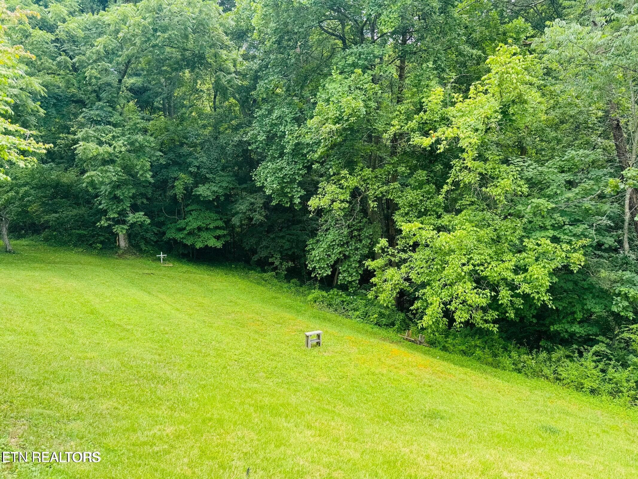 IMG_1076 - 681 Island Cove Rd, Rocky Top, TN 37769, Rocky Top
