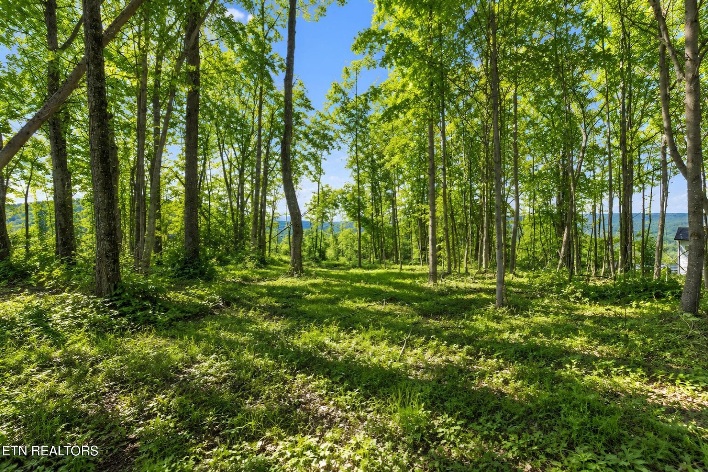 1309 Wind Rush Way Land semi view - 1309 Wind Rush Way, Monterey, TN 38574