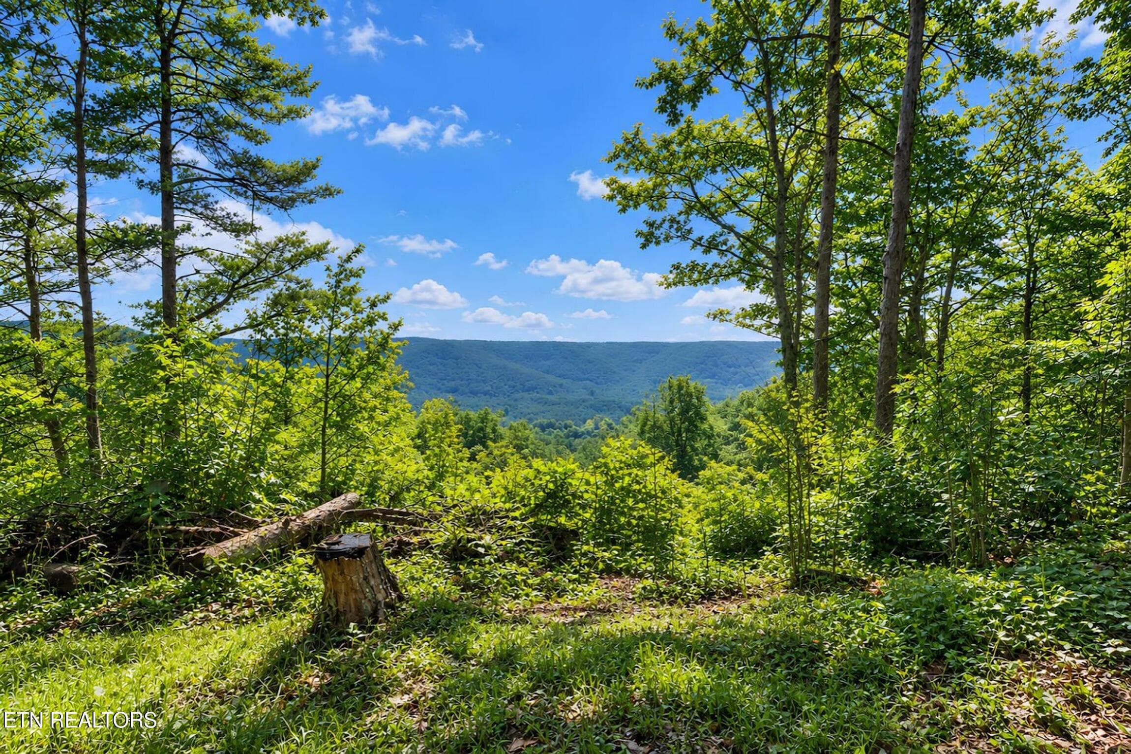 1309 Wind Rush Way, Monterey, TN 38574