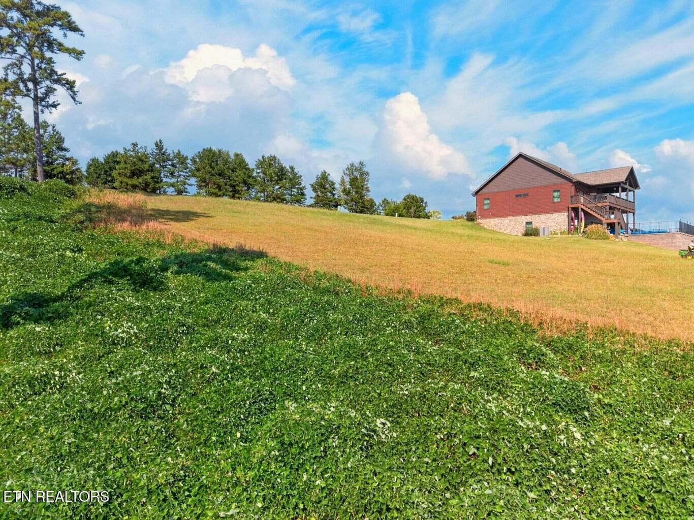 7 - Cow Poke, Rutledge, TN 37861
