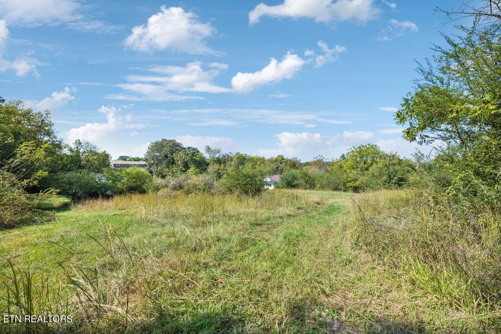 Many Building sites! - 432 N Farnum St, Friendsville, TN 37737