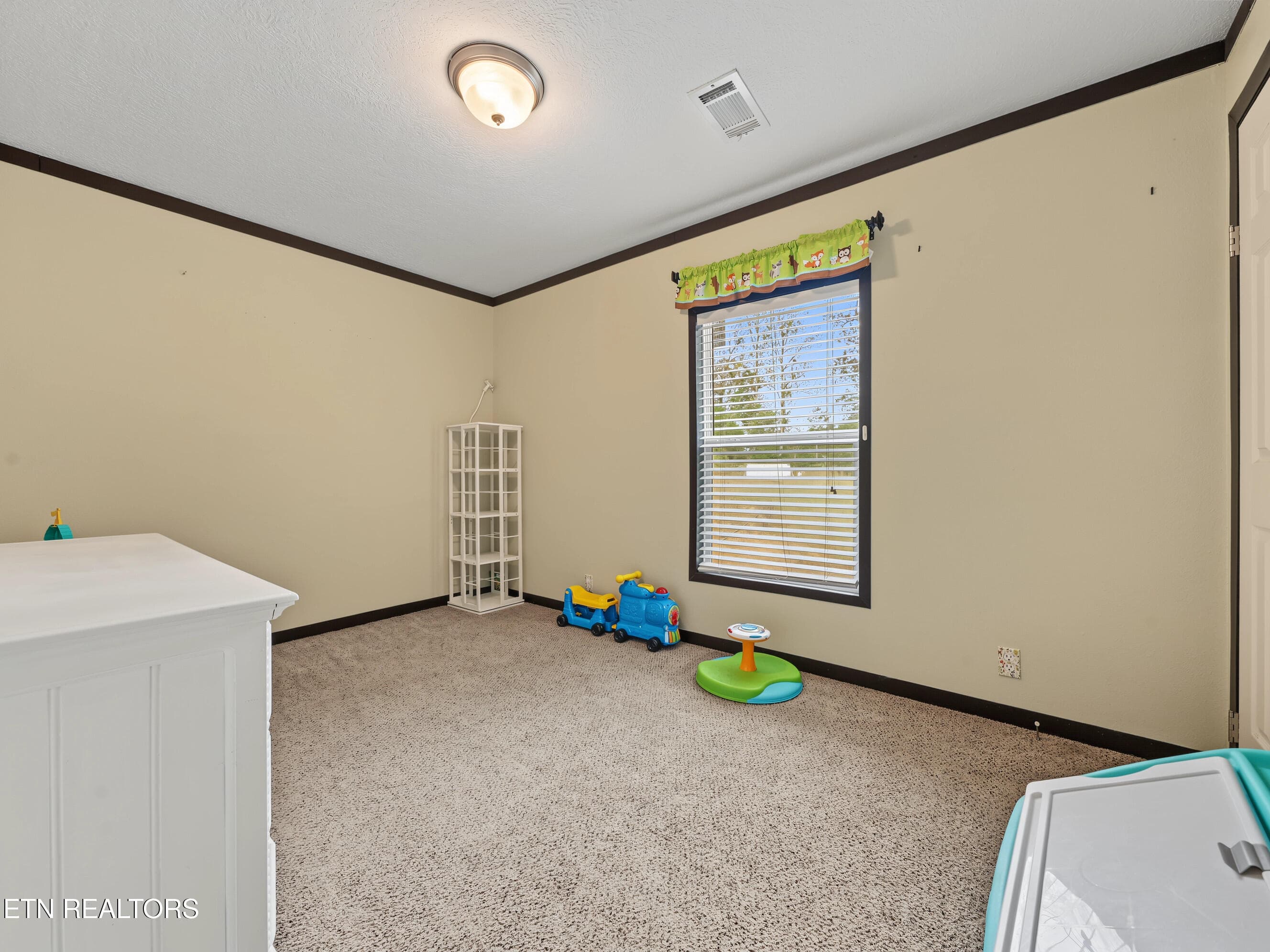 36_img_6321 - 771 Archer Rd, Luttrell, TN 37779