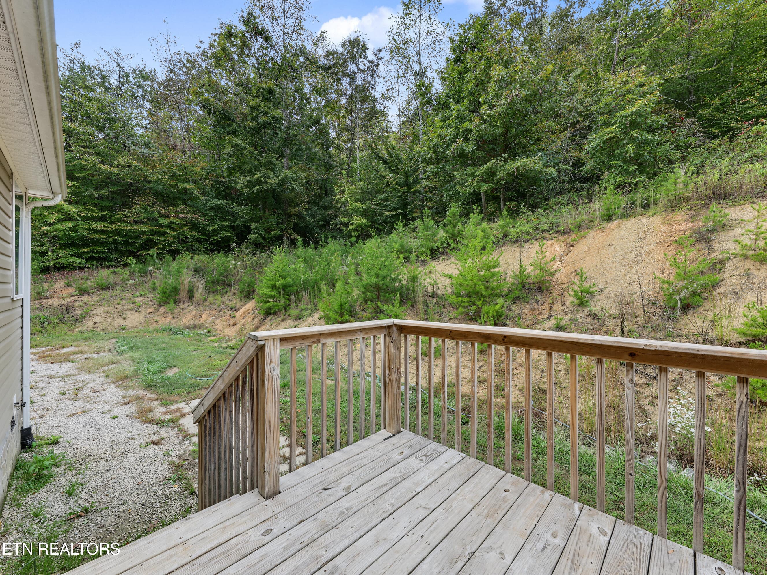 41_img_6276 - 771 Archer Rd, Luttrell, TN 37779