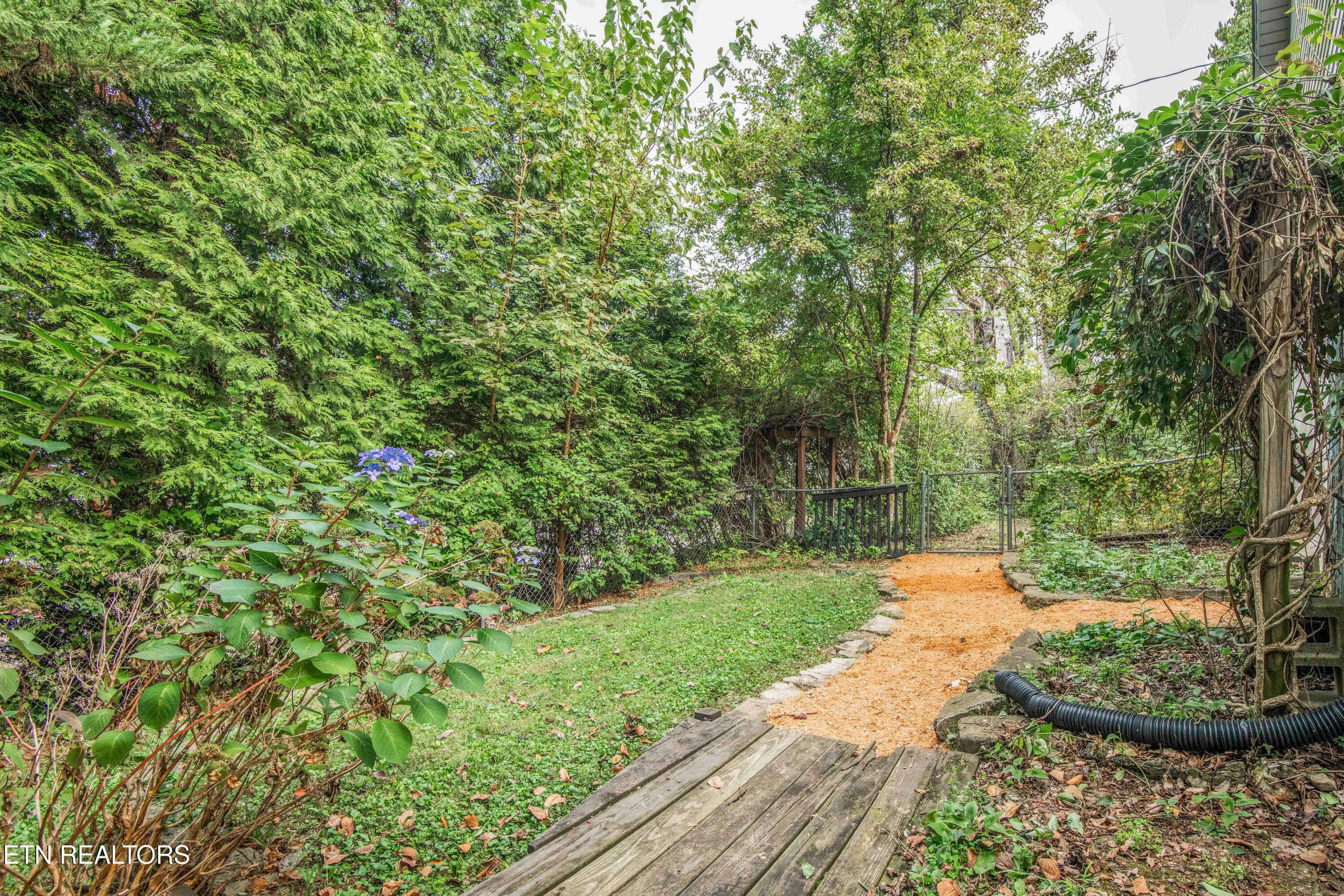 McMillan-15-small - 1427 McMillan St, Knoxville, TN 37917