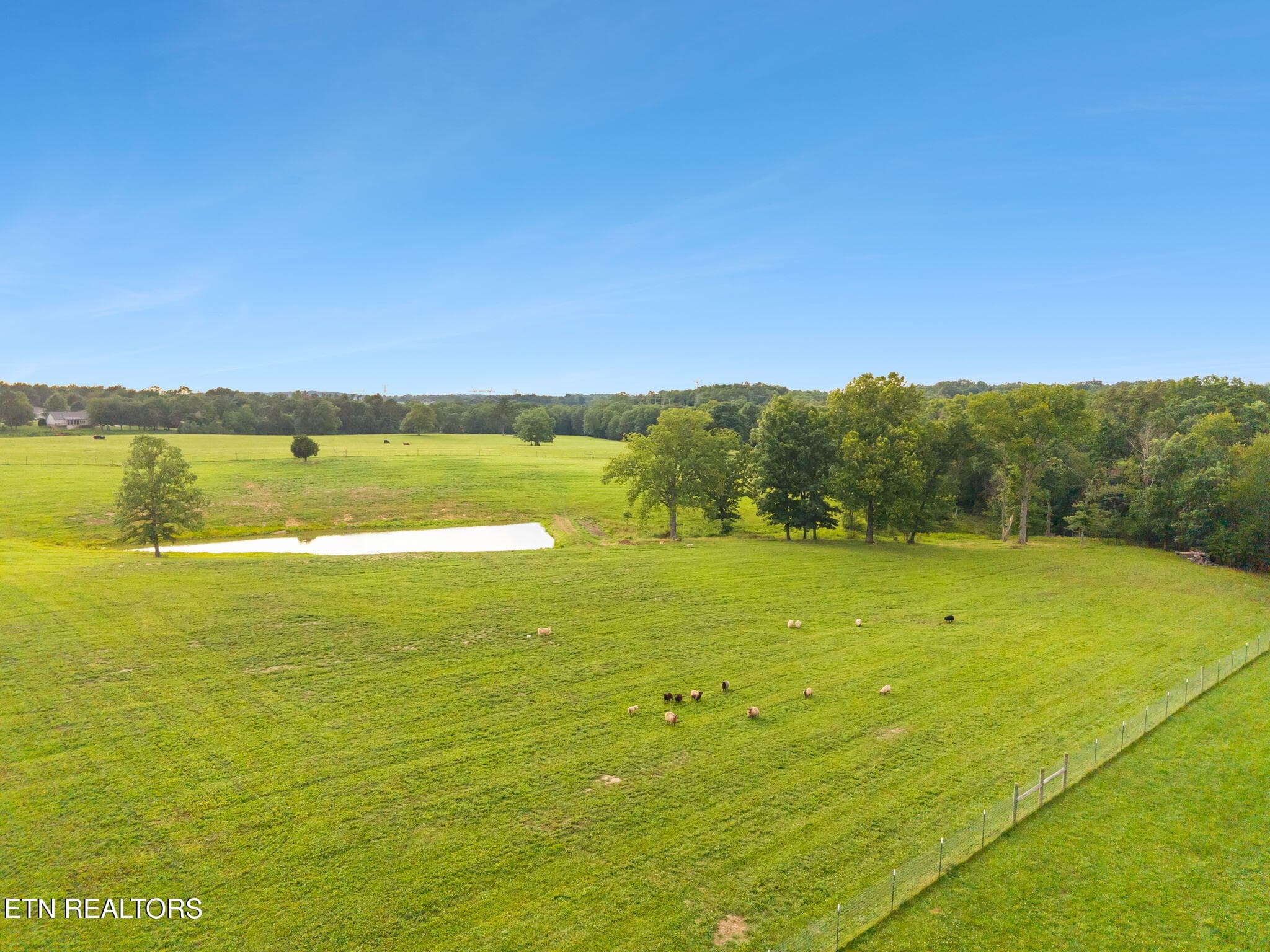 Fields with pond - 3173 Genesis Rd, Crossville, TN 38571
