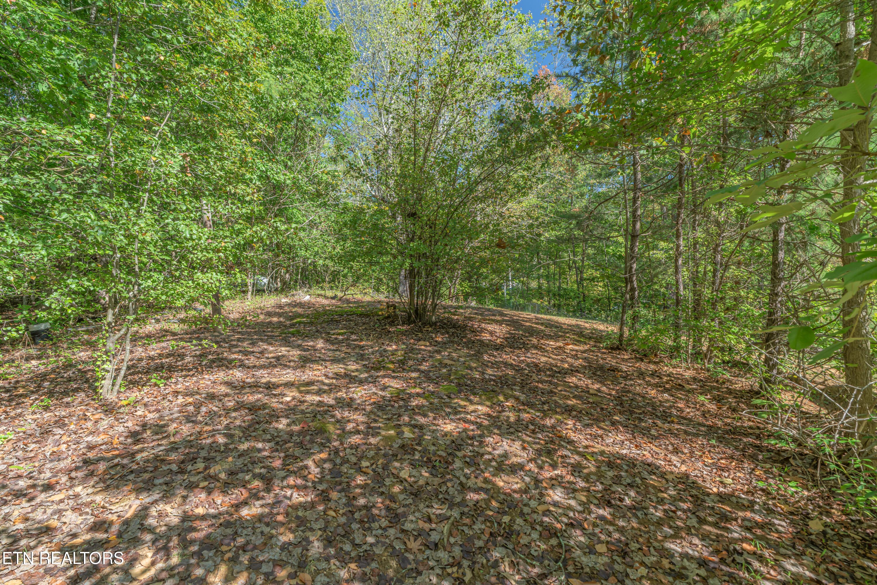 147 Old Jones Rd - 147 Old Jones Rd, Harriman, TN 37748