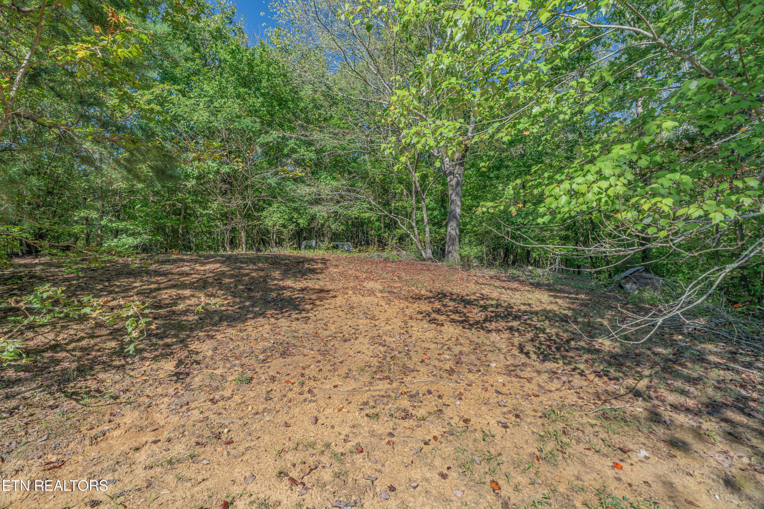 147 Old Jones Rd - 147 Old Jones Rd, Harriman, TN 37748