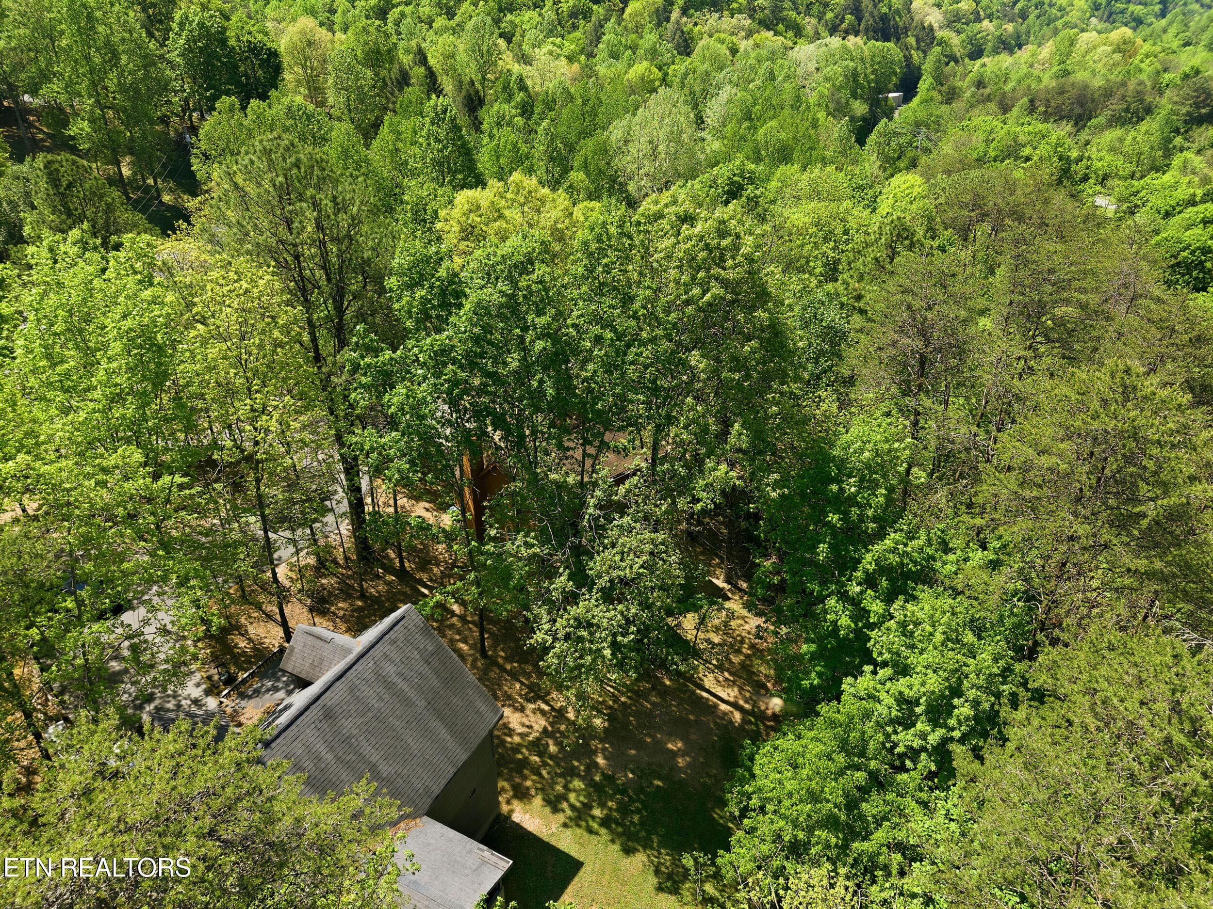 13_3513_country_pines_way_0012 - 3513 Country Pines Way, Sevierville, TN 37876