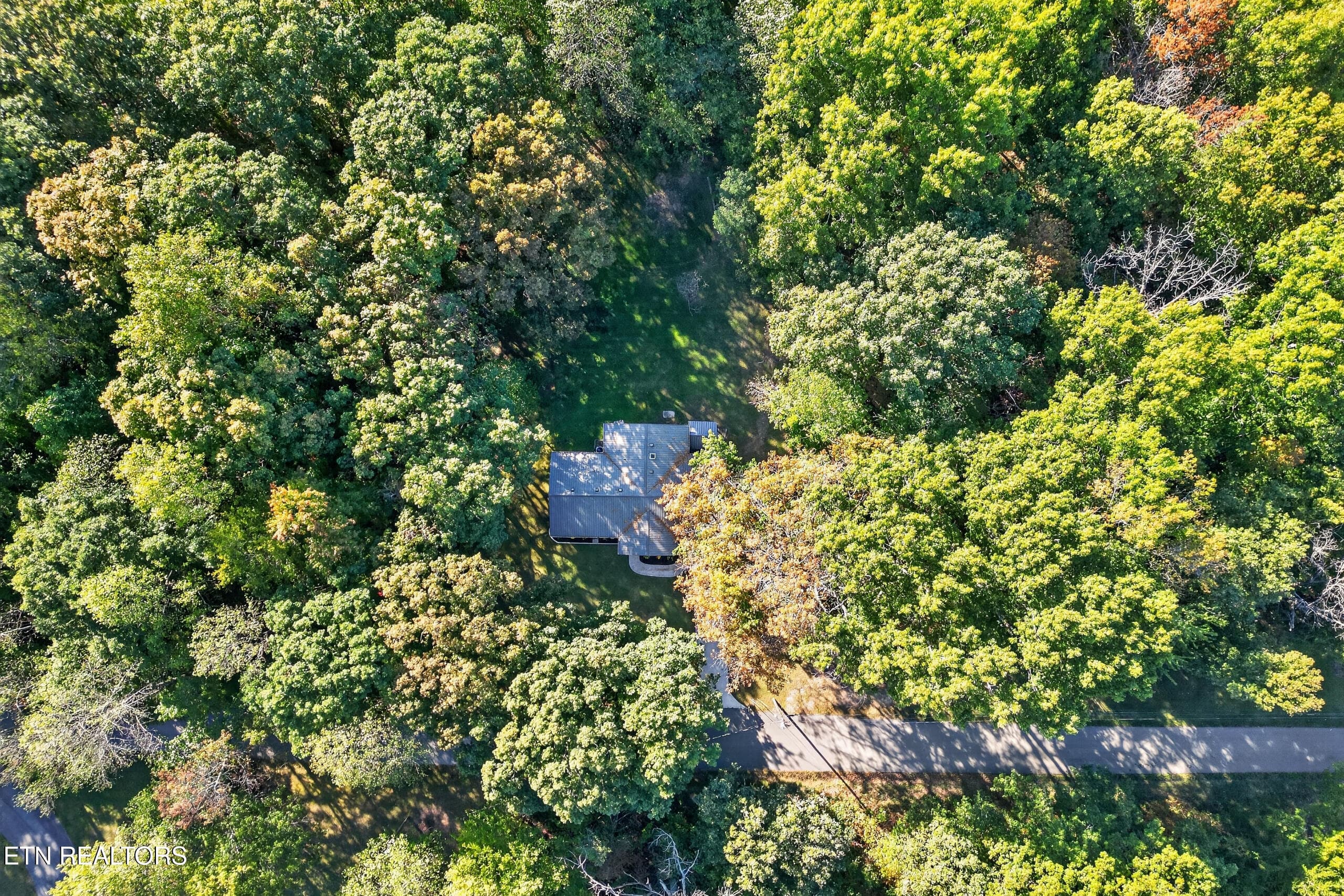 027_DJI_0513 - 581 Idlewild Drive, Sparta, TN 38583