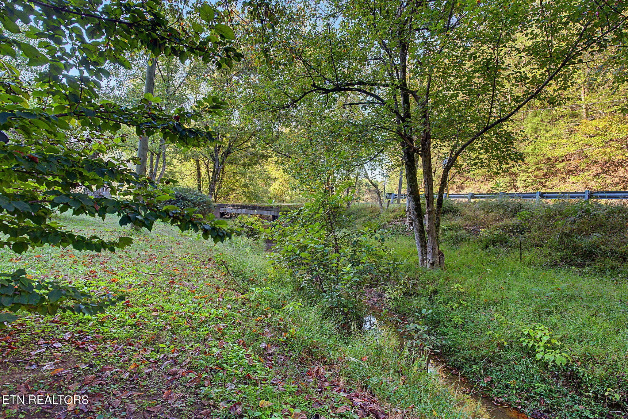 10-web-or-mls-507-cane-creek-mountain-rd - 507 Cane Creek Mtn Rd, Tellico Plains, TN 37385