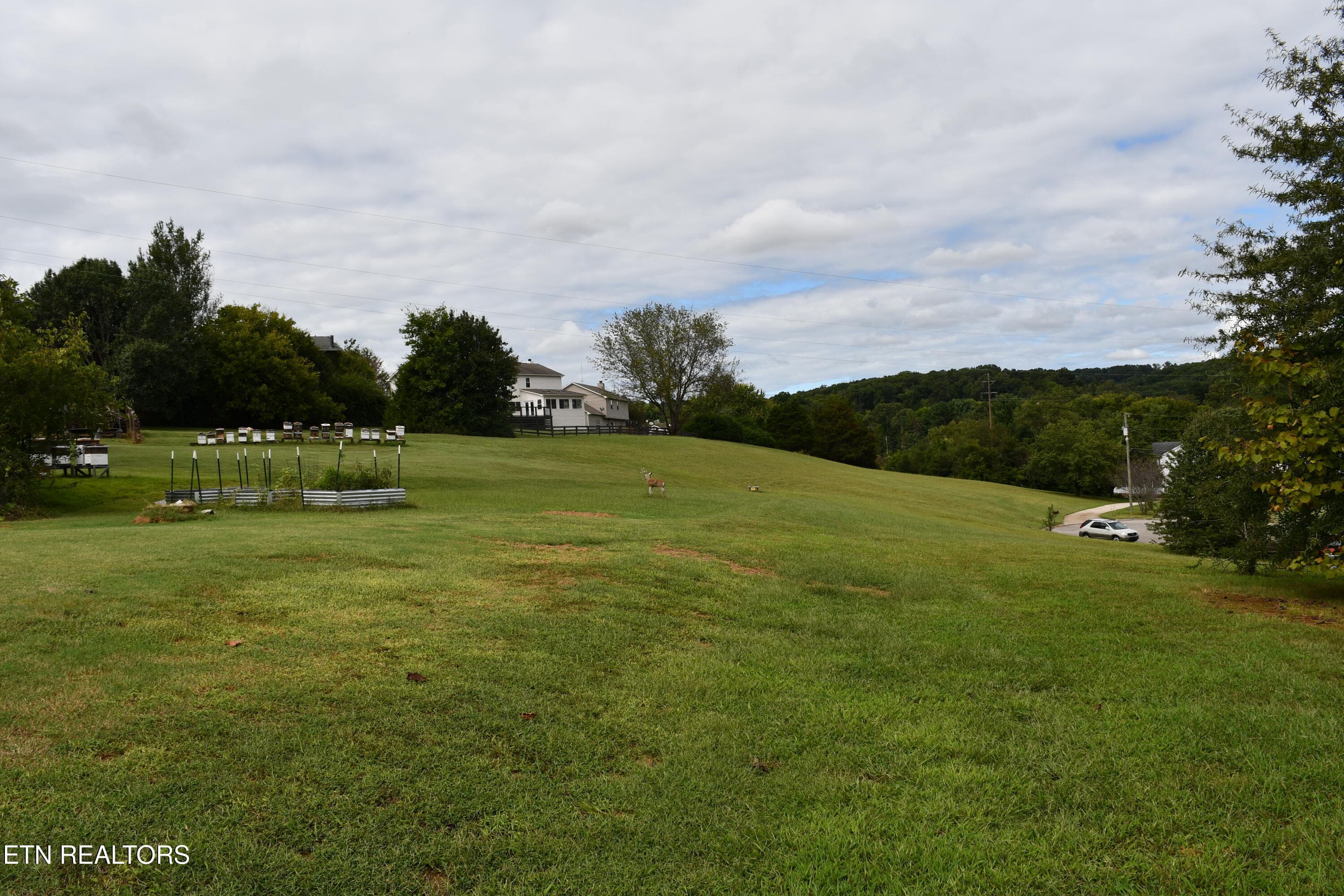 DSC_1373 - 1012 Cross Meadow Rd, Knoxville, TN 37934