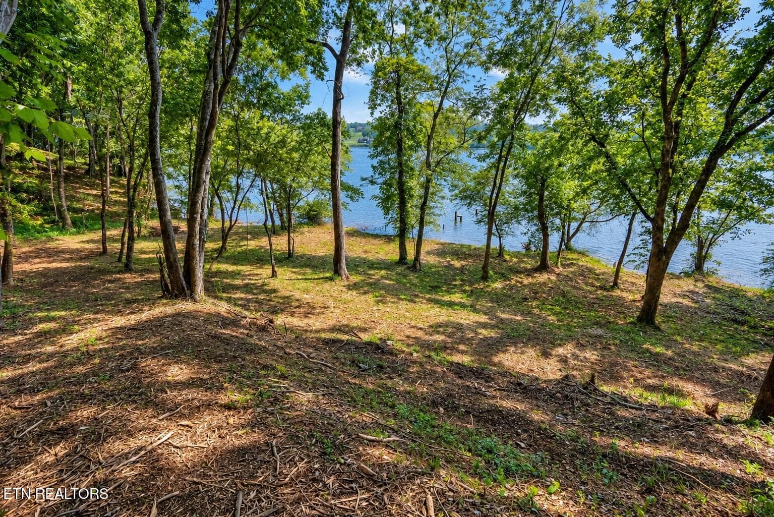 image000000 (1) - Lot 6 Valley Drive, Loudon, TN 37774