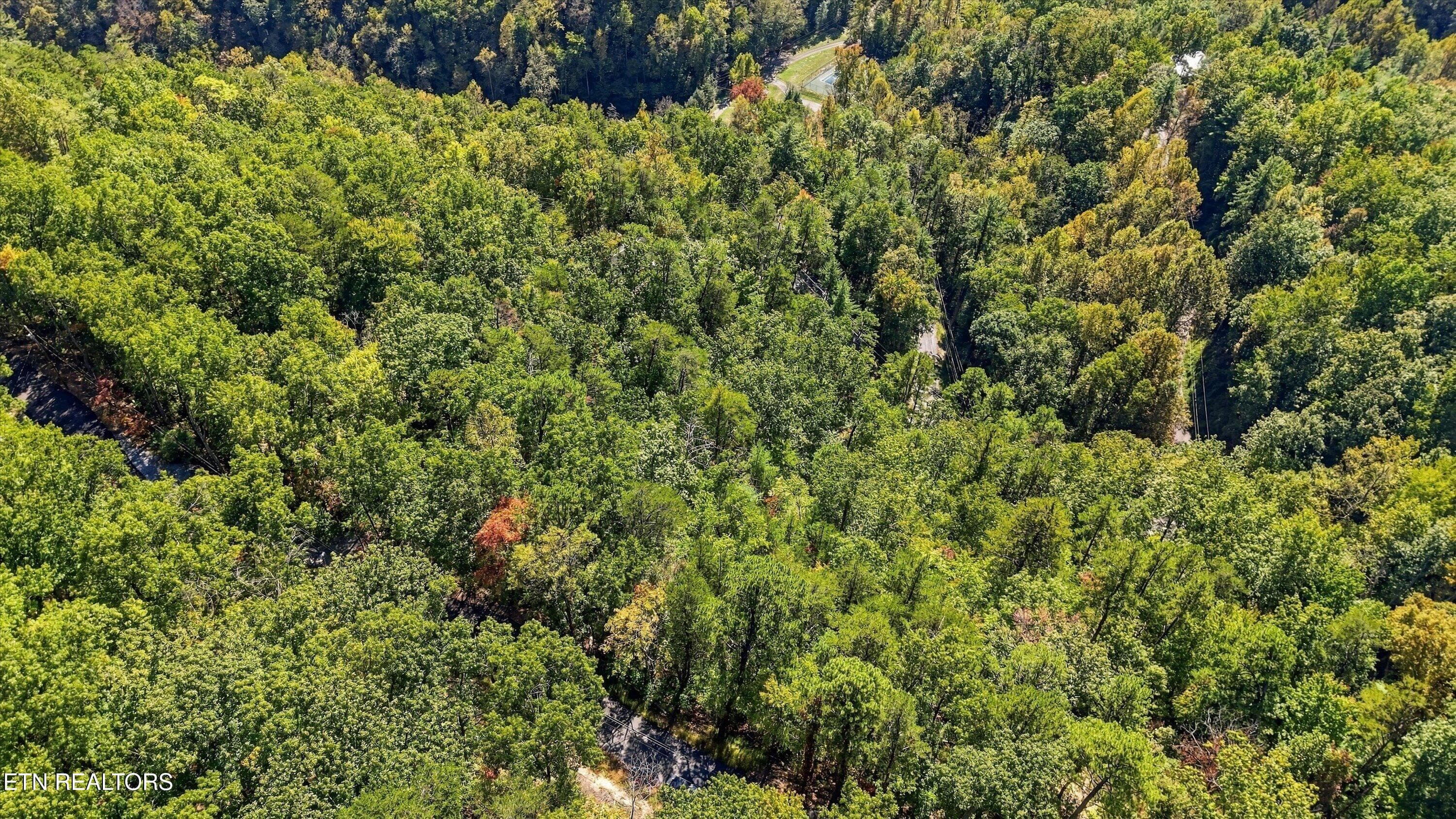 07-Lot 17 Overholt Trail 6 - Overholt Tr, Sevierville, TN 37862