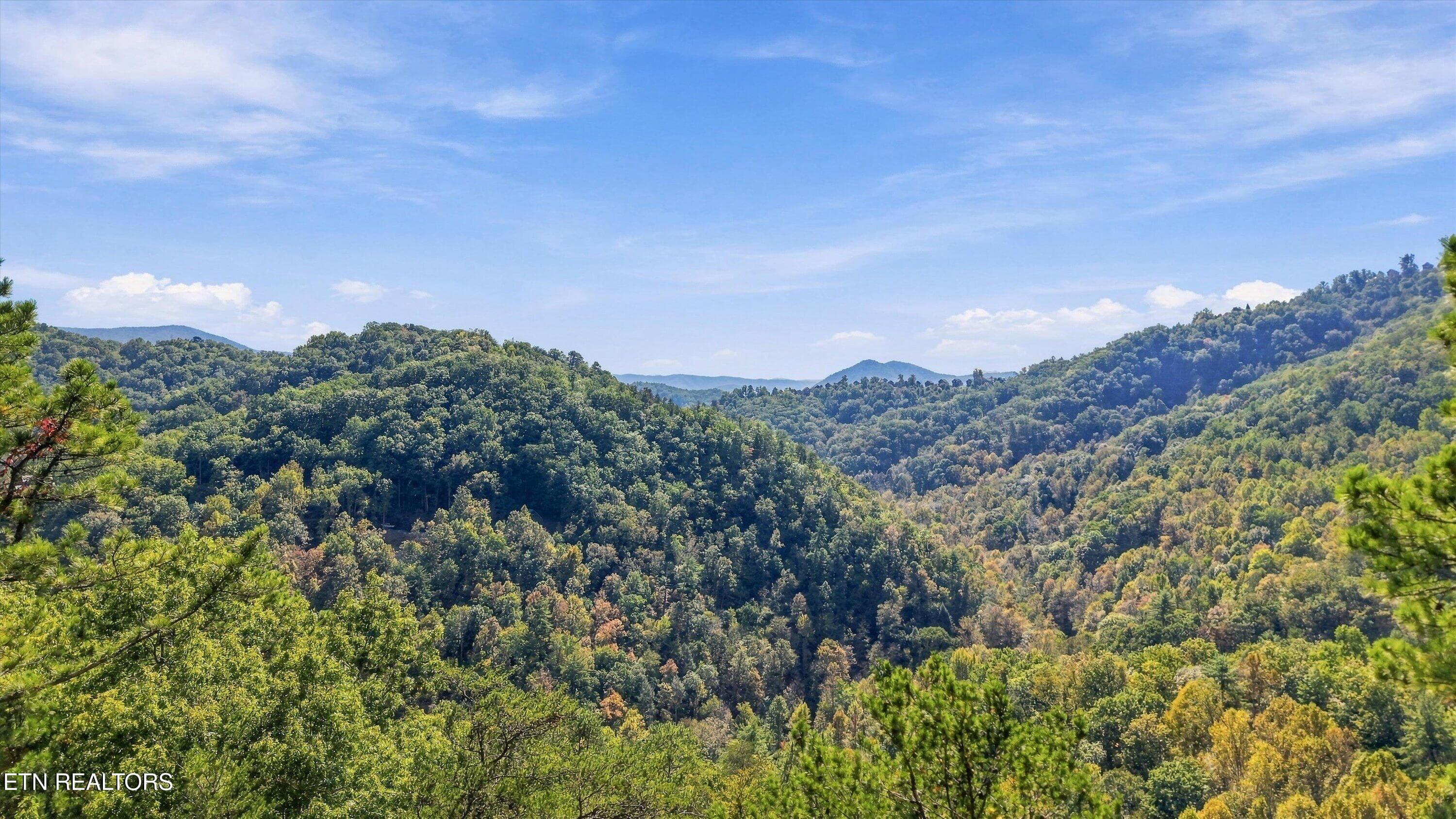 11-Lot 17 Overholt Trail 2 - Overholt Tr, Sevierville, TN 37862