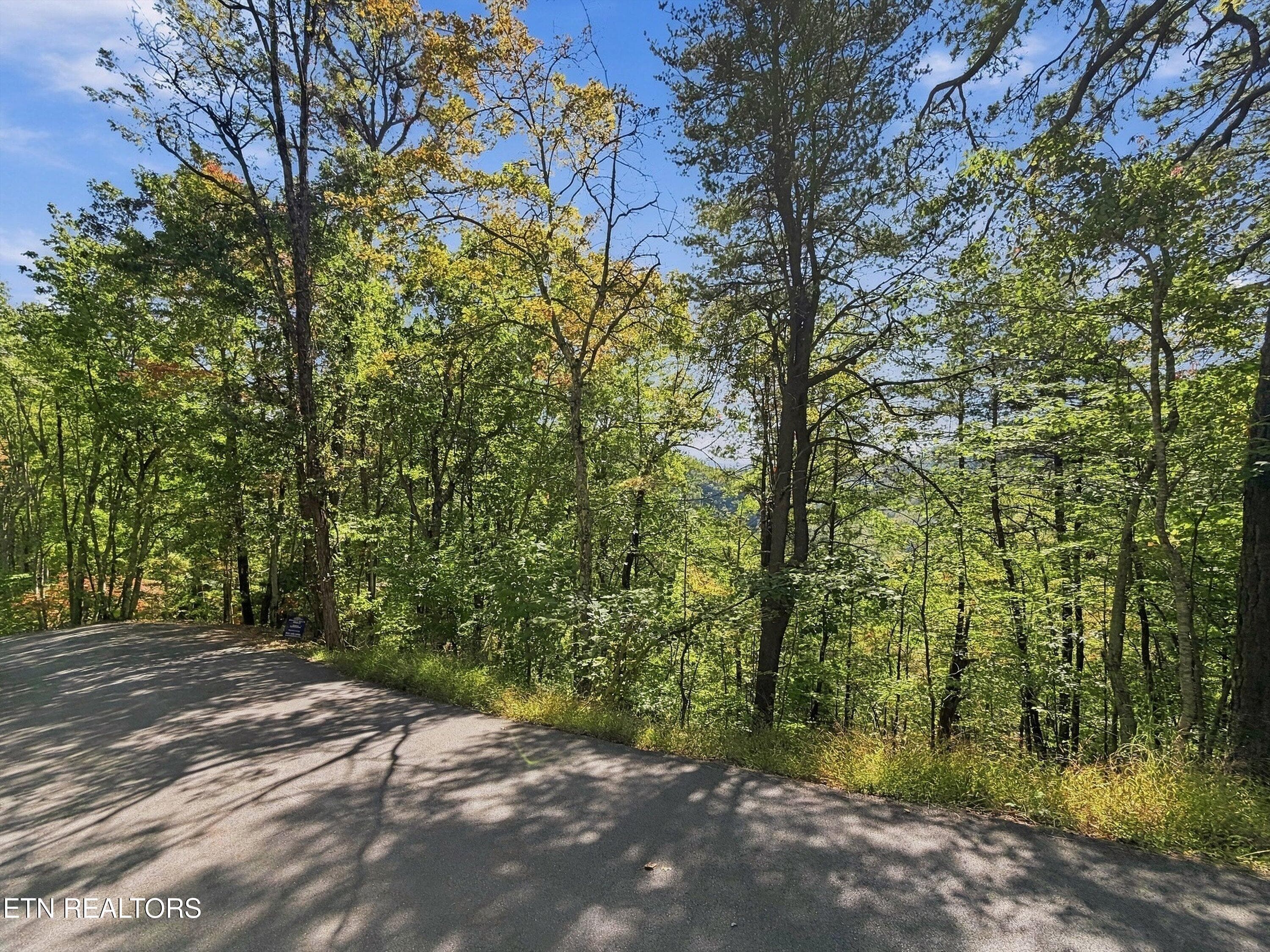 17-Lot 17 Overholt Trail 13 - Overholt Tr, Sevierville, TN 37862