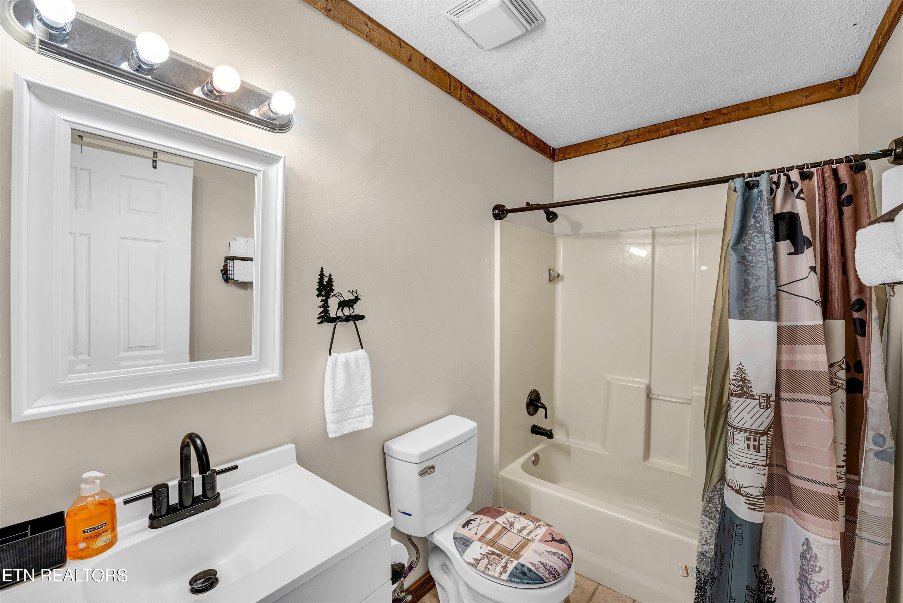 48-Bath A2 - 1408 Alpine Drive, Sevierville, TN 37876