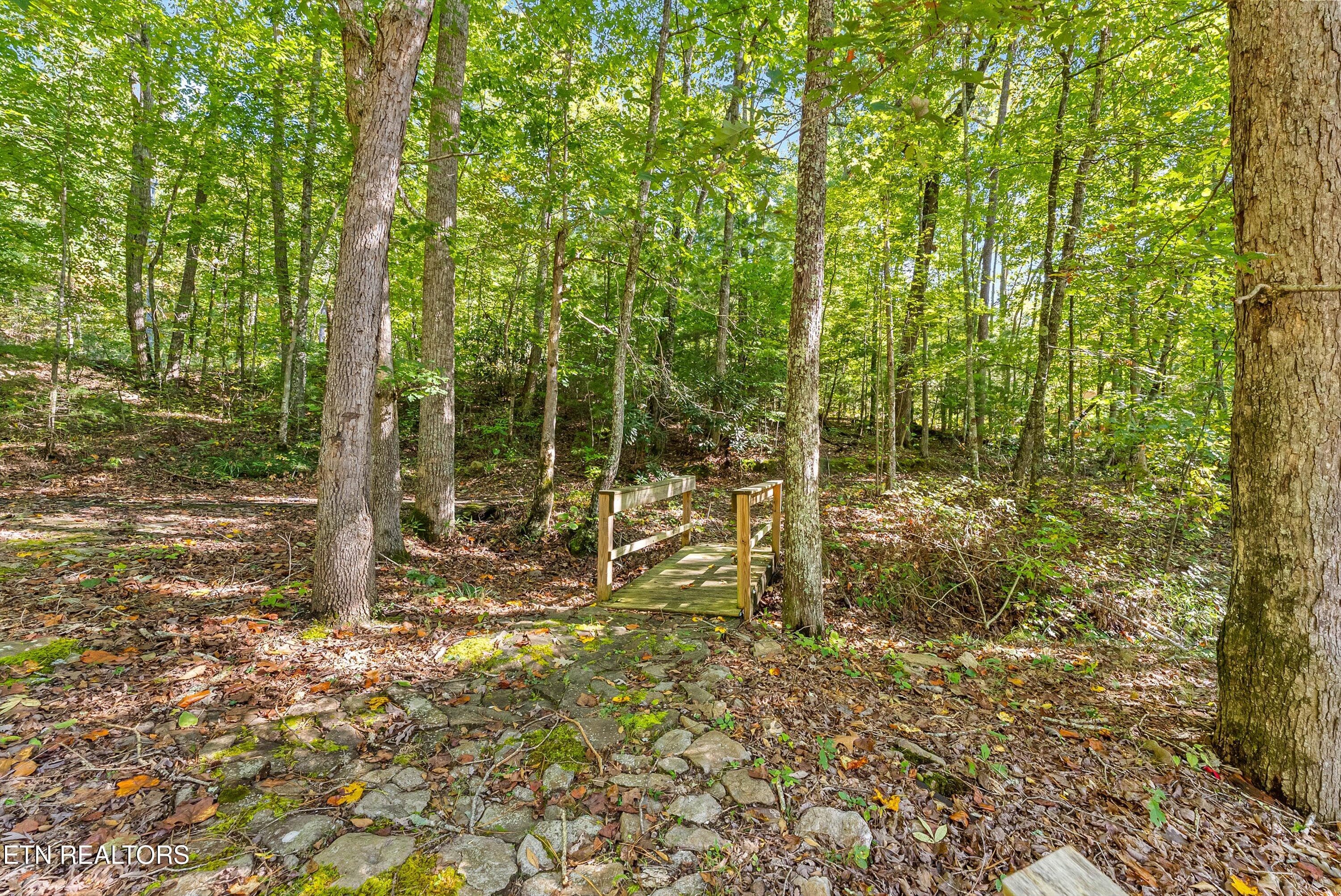 55-Bridge A1 - 1408 Alpine Drive, Sevierville, TN 37876