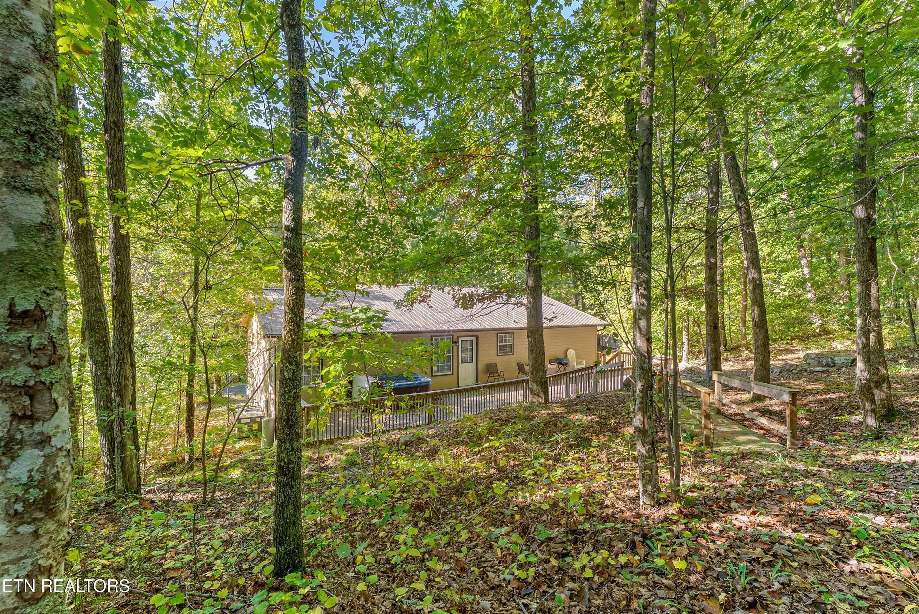 57-Back A1 - 1408 Alpine Drive, Sevierville, TN 37876