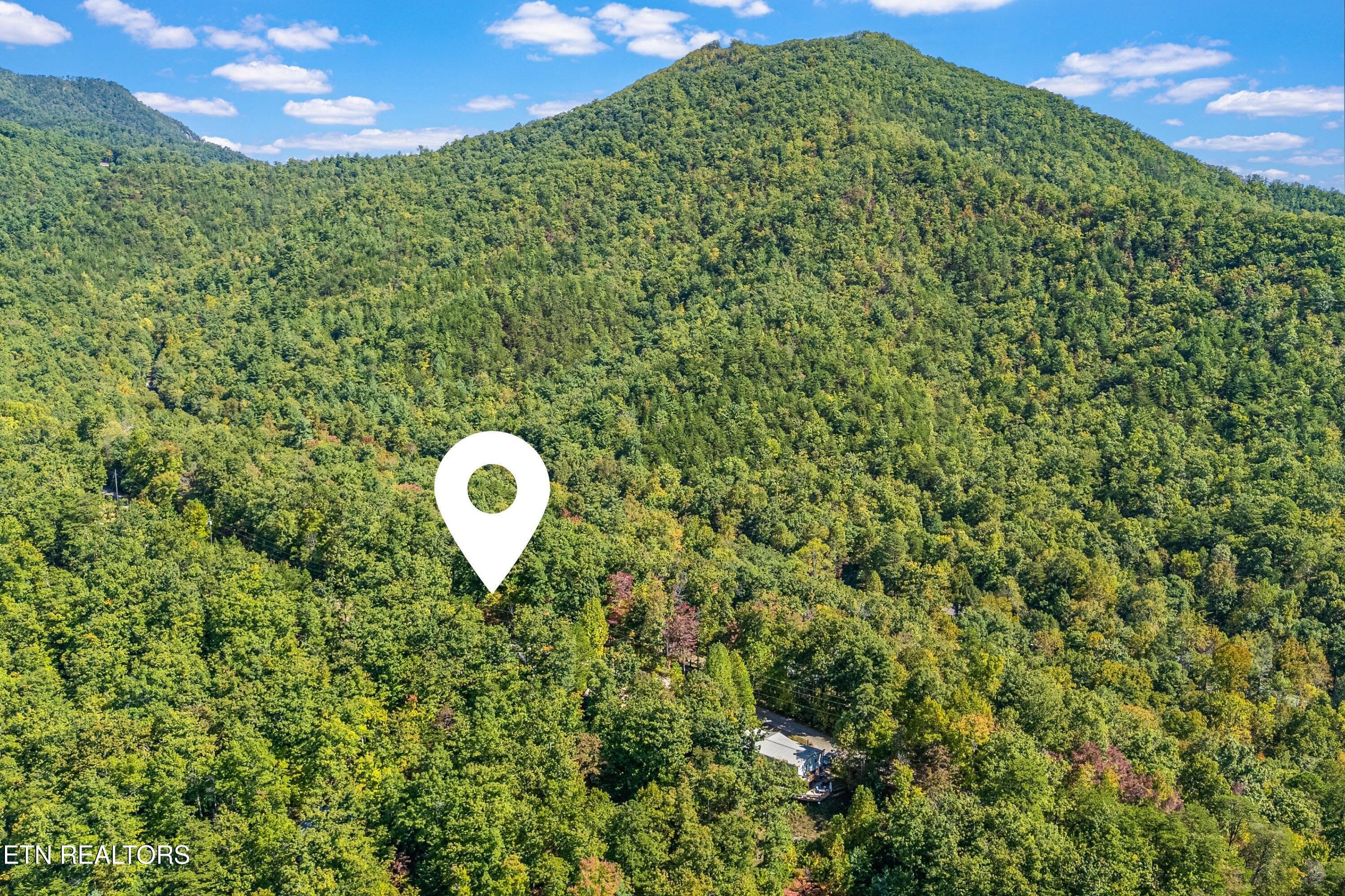 08-Map A2 - 1408 Alpine Drive, Sevierville, TN 37876